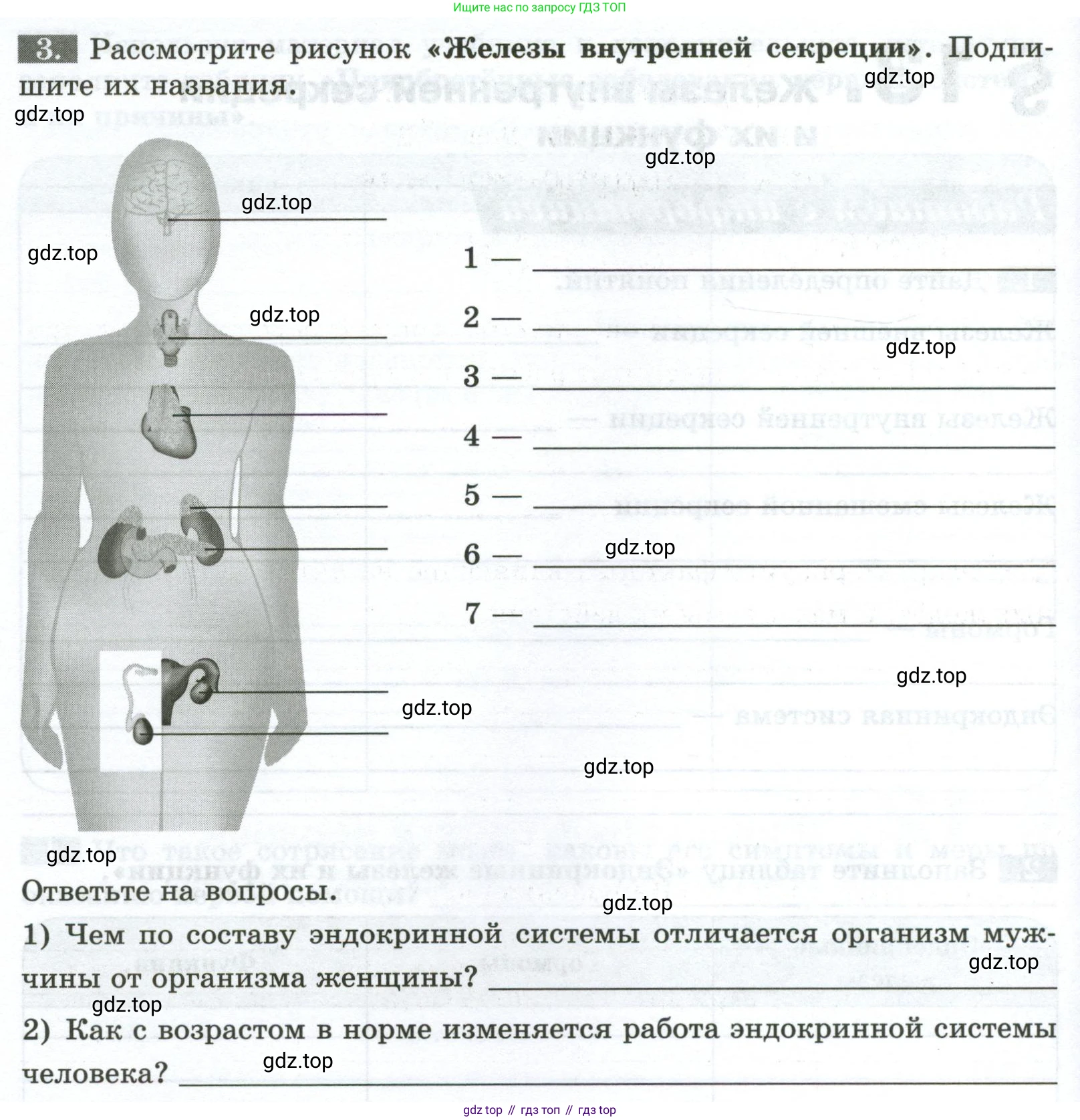 Биология, 9 класс рабочая тетрадь, авторы: Пасечник Владимир Васильевич, Швецов Глеб Геннадьевич, издательство Просвещение, Москва, 2023, розового цвета, страница 36, номер 3, Условие