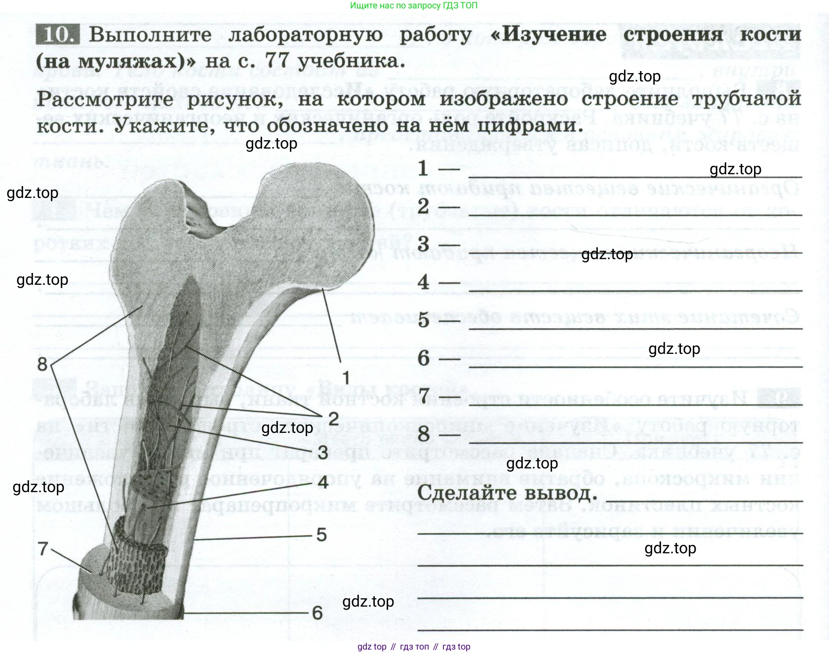 Биология, 9 класс рабочая тетрадь, авторы: Пасечник Владимир Васильевич, Швецов Глеб Геннадьевич, издательство Просвещение, Москва, 2023, розового цвета, страница 44, номер 10, Условие