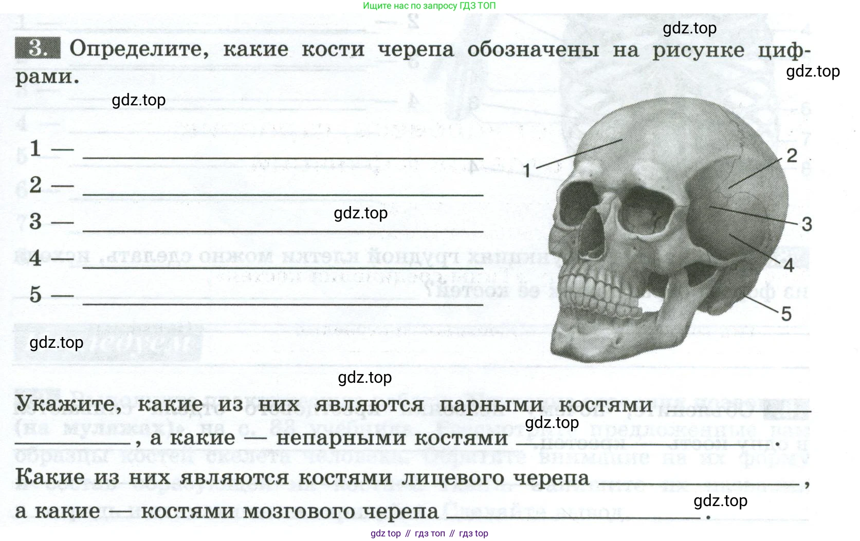 Биология, 9 класс рабочая тетрадь, авторы: Пасечник Владимир Васильевич, Швецов Глеб Геннадьевич, издательство Просвещение, Москва, 2023, розового цвета, страница 45, номер 3, Условие