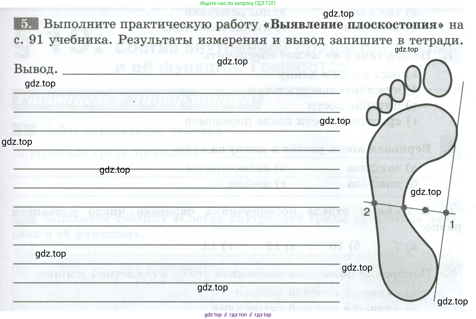 Биология, 9 класс рабочая тетрадь, авторы: Пасечник Владимир Васильевич, Швецов Глеб Геннадьевич, издательство Просвещение, Москва, 2023, розового цвета, страница 55, номер 5, Условие