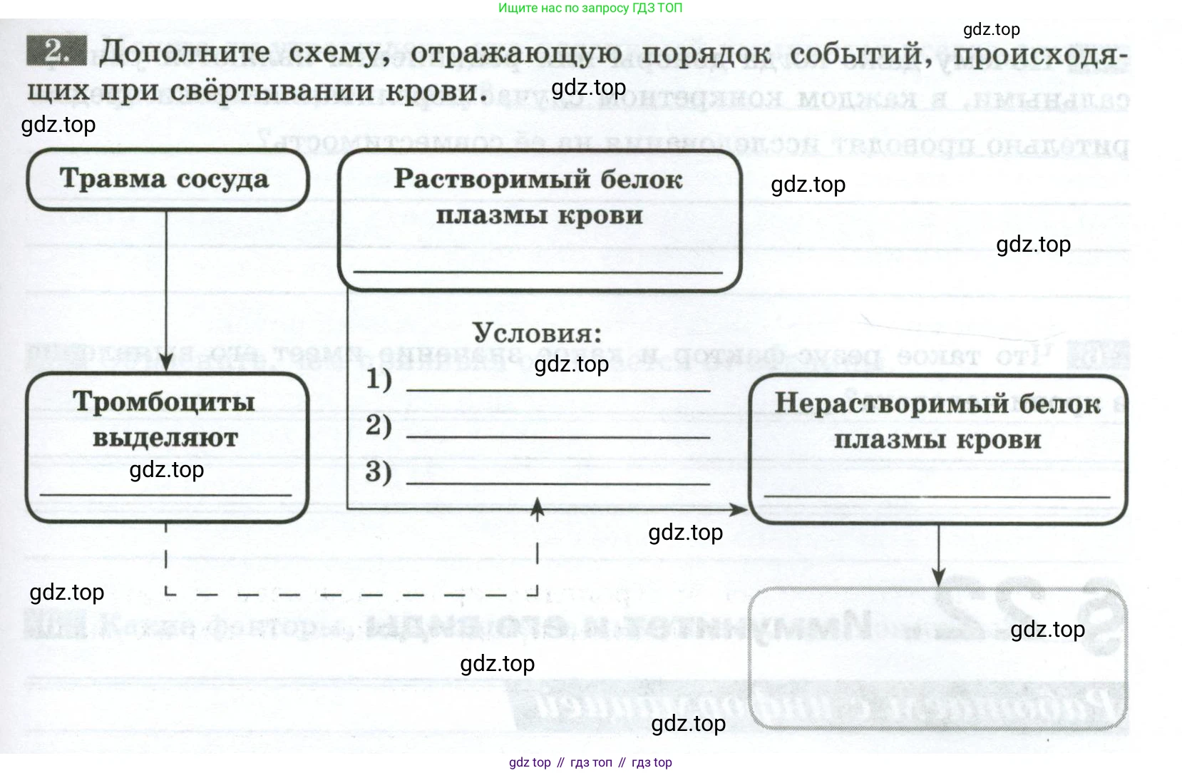 Биология, 9 класс рабочая тетрадь, авторы: Пасечник Владимир Васильевич, Швецов Глеб Геннадьевич, издательство Просвещение, Москва, 2023, розового цвета, страница 61, номер 2, Условие