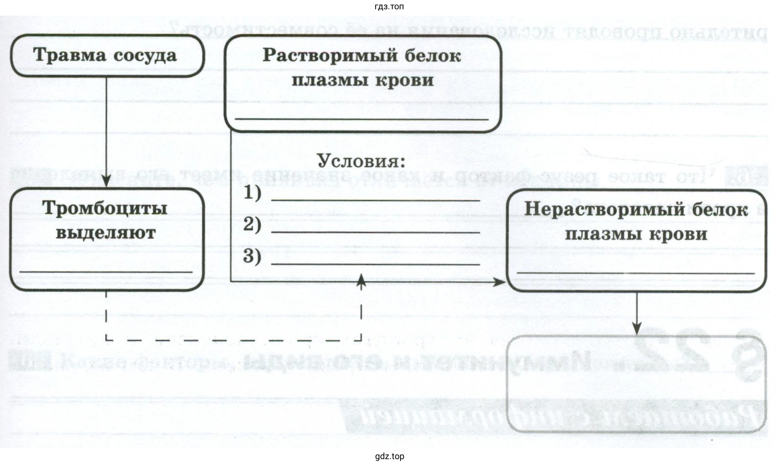 Схема, отражающая порядок событий, происходящих при свёртывании крови