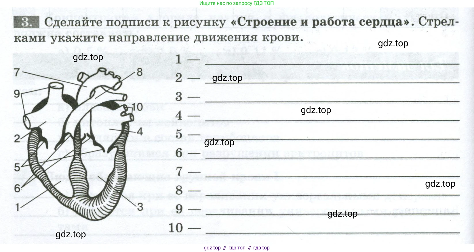 Биология, 9 класс рабочая тетрадь, авторы: Пасечник Владимир Васильевич, Швецов Глеб Геннадьевич, издательство Просвещение, Москва, 2023, розового цвета, страница 66, номер 3, Условие