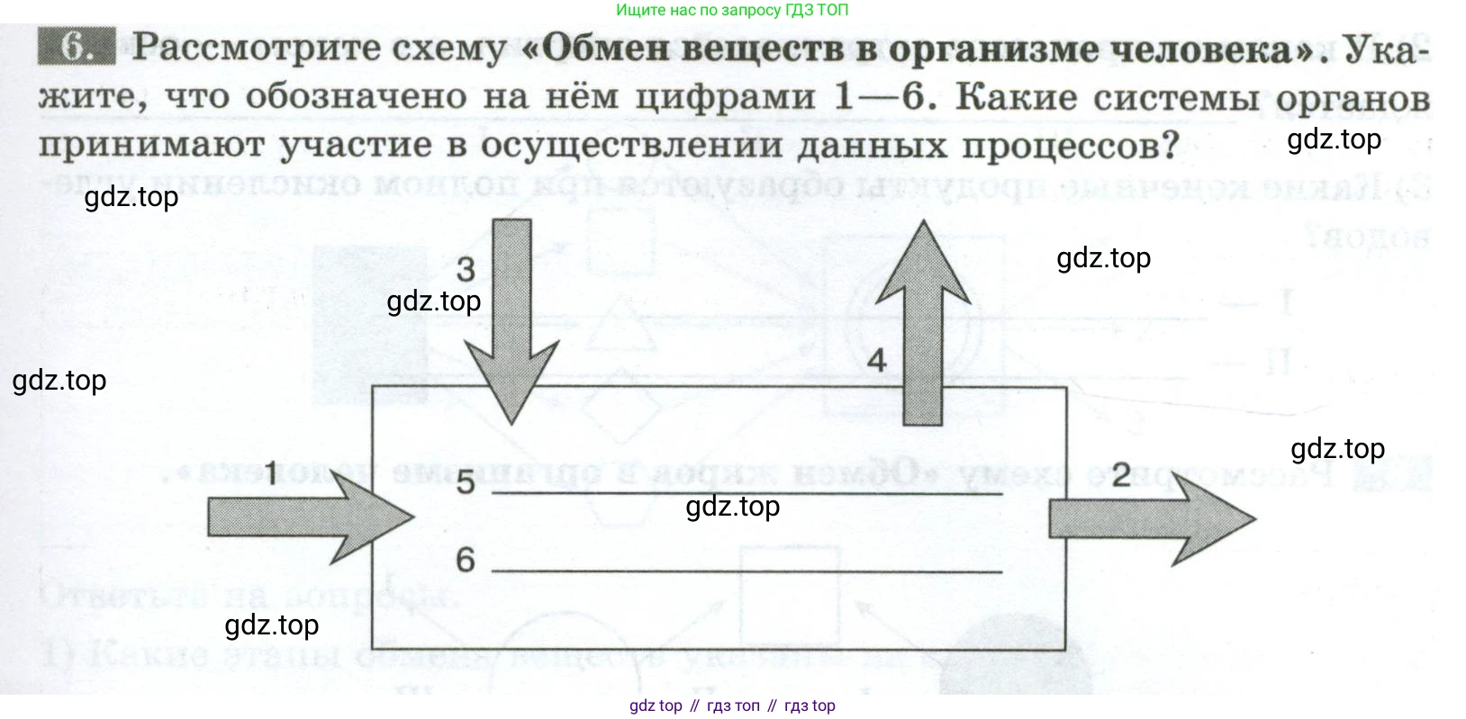 Биология, 9 класс рабочая тетрадь, авторы: Пасечник Владимир Васильевич, Швецов Глеб Геннадьевич, издательство Просвещение, Москва, 2023, розового цвета, страница 99, номер 6, Условие