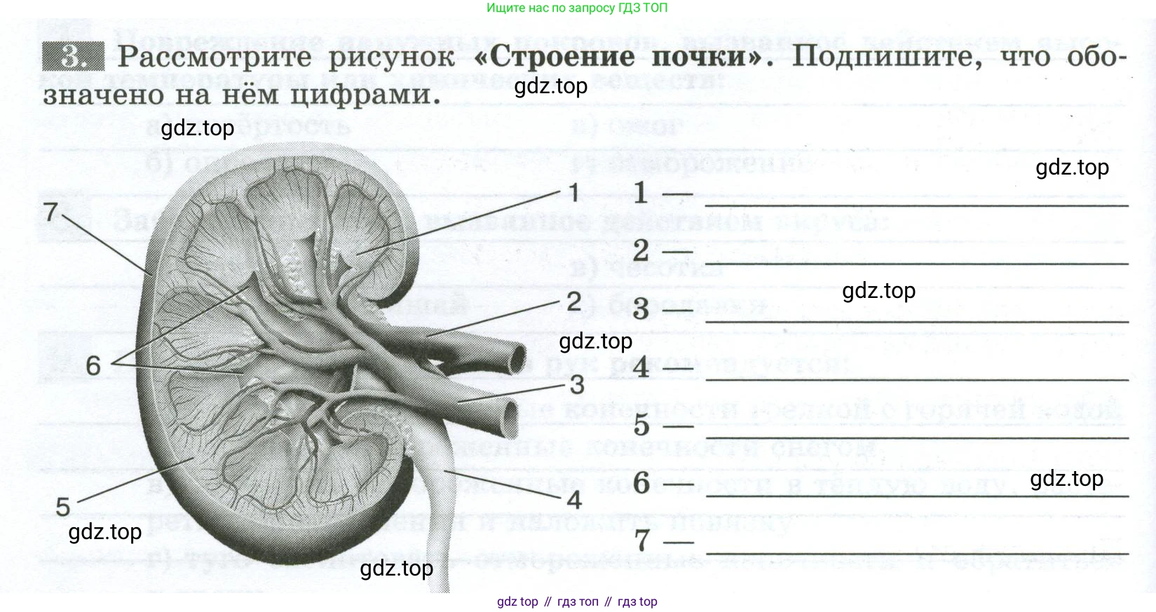 Биология, 9 класс рабочая тетрадь, авторы: Пасечник Владимир Васильевич, Швецов Глеб Геннадьевич, издательство Просвещение, Москва, 2023, розового цвета, страница 116, номер 3, Условие