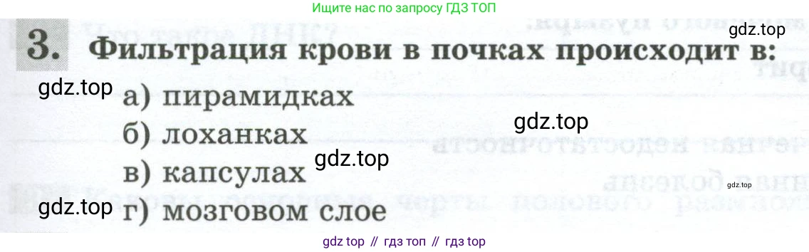 Биология, 9 класс рабочая тетрадь, авторы: Пасечник Владимир Васильевич, Швецов Глеб Геннадьевич, издательство Просвещение, Москва, 2023, розового цвета, страница 119, номер 3, Условие