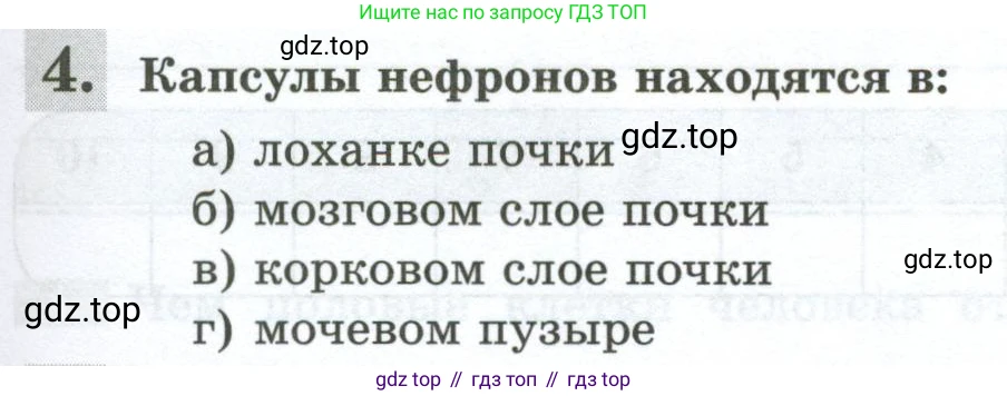 Биология, 9 класс рабочая тетрадь, авторы: Пасечник Владимир Васильевич, Швецов Глеб Геннадьевич, издательство Просвещение, Москва, 2023, розового цвета, страница 119, номер 4, Условие