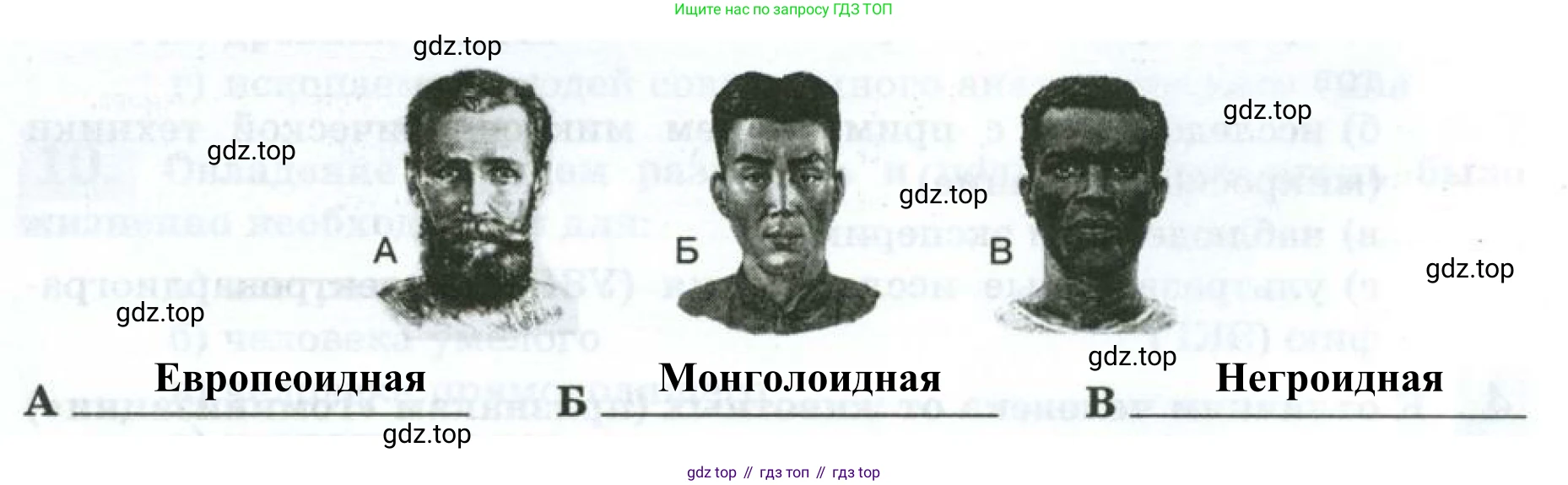 Рисунок «Расы человека»