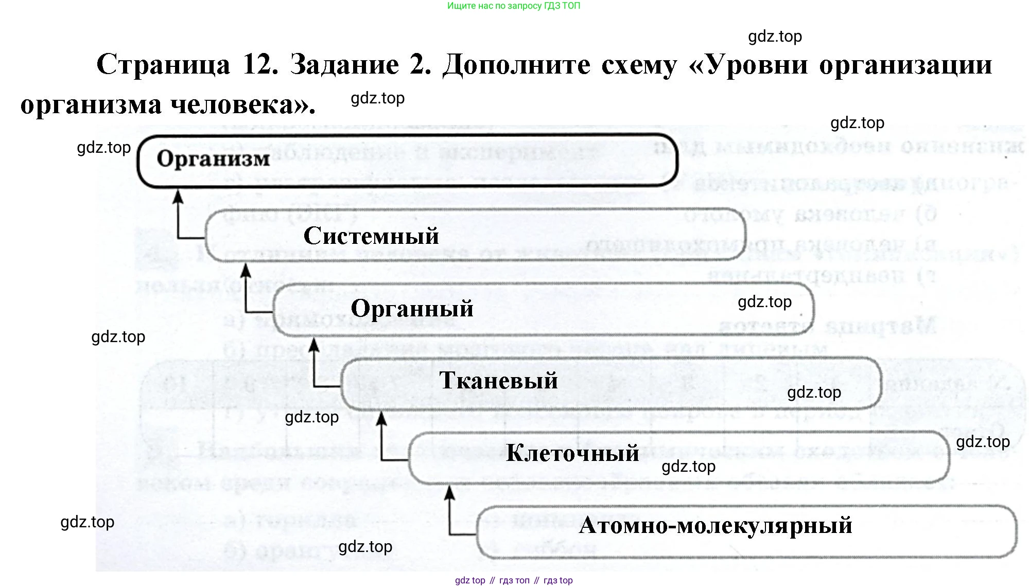 Биология, 9 класс рабочая тетрадь, авторы: Пасечник Владимир Васильевич, Швецов Глеб Геннадьевич, издательство Просвещение, Москва, 2023, розового цвета, страница 12, номер 2, Решение