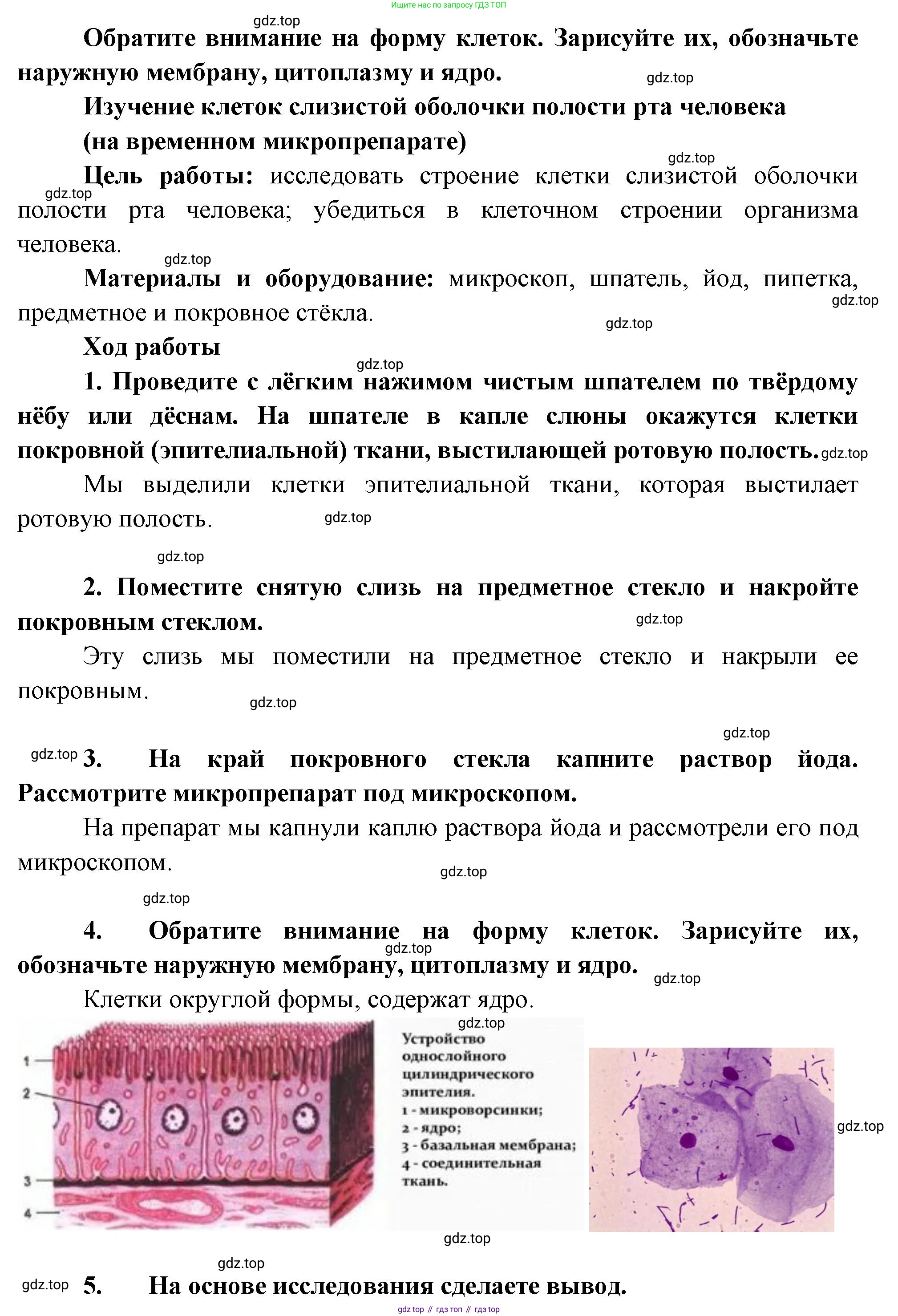 Биология, 9 класс рабочая тетрадь, авторы: Пасечник Владимир Васильевич, Швецов Глеб Геннадьевич, издательство Просвещение, Москва, 2023, розового цвета, страница 14, номер 9, Решение (продолжение 2)