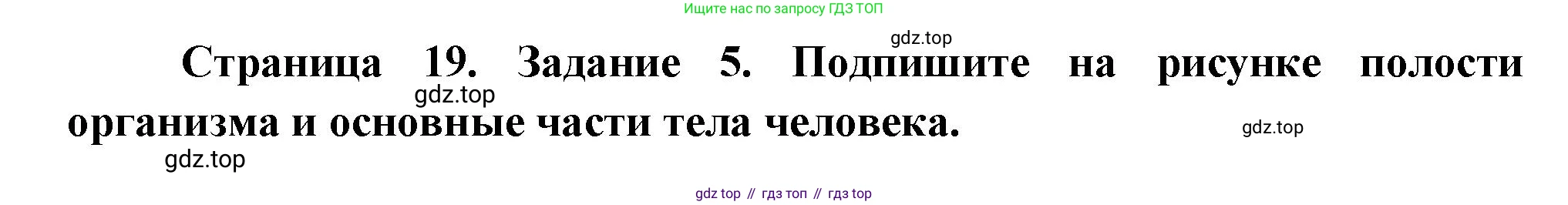 Биология, 9 класс рабочая тетрадь, авторы: Пасечник Владимир Васильевич, Швецов Глеб Геннадьевич, издательство Просвещение, Москва, 2023, розового цвета, страница 19, номер 5, Решение