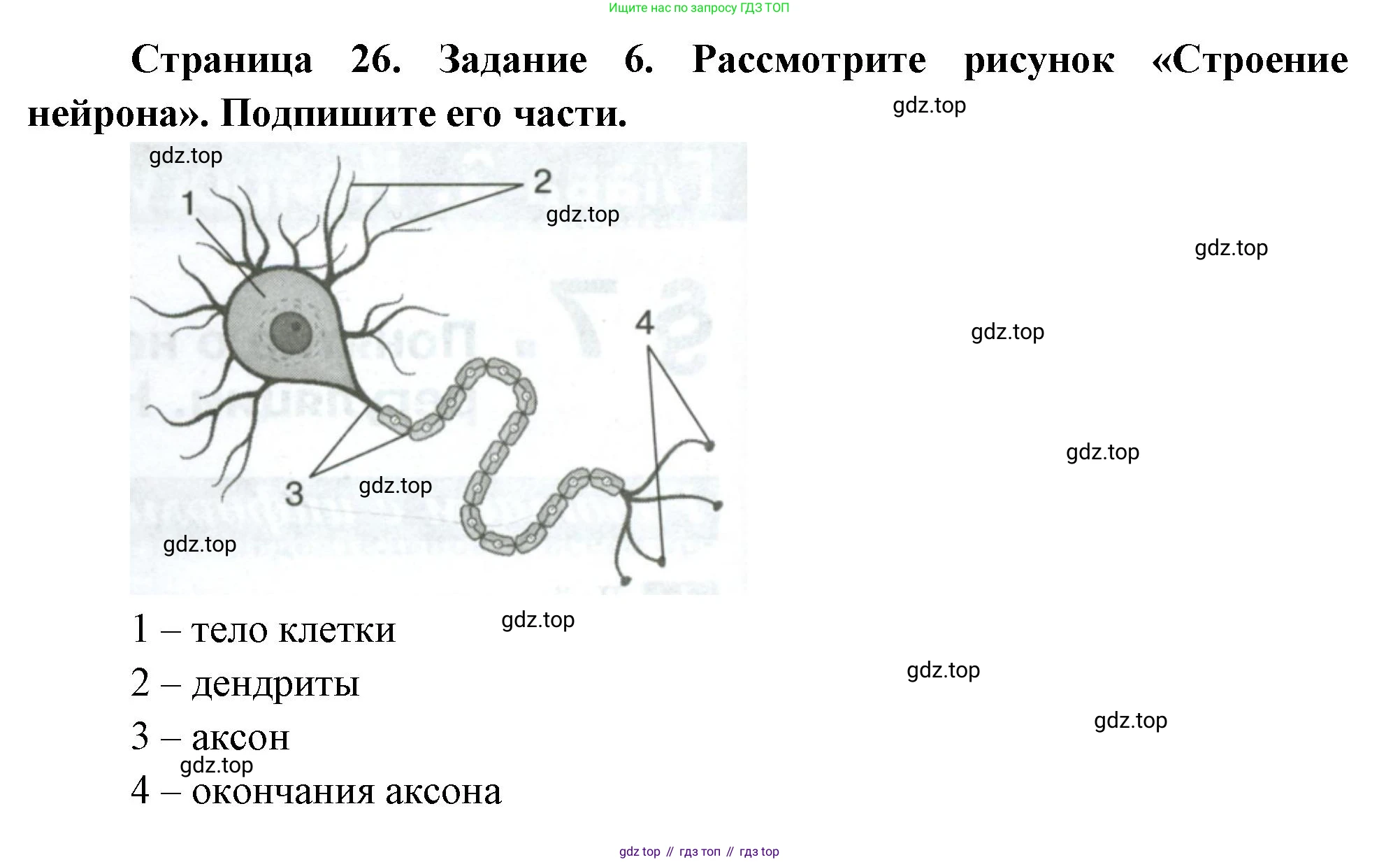 Биология, 9 класс рабочая тетрадь, авторы: Пасечник Владимир Васильевич, Швецов Глеб Геннадьевич, издательство Просвещение, Москва, 2023, розового цвета, страница 26, номер 6, Решение
