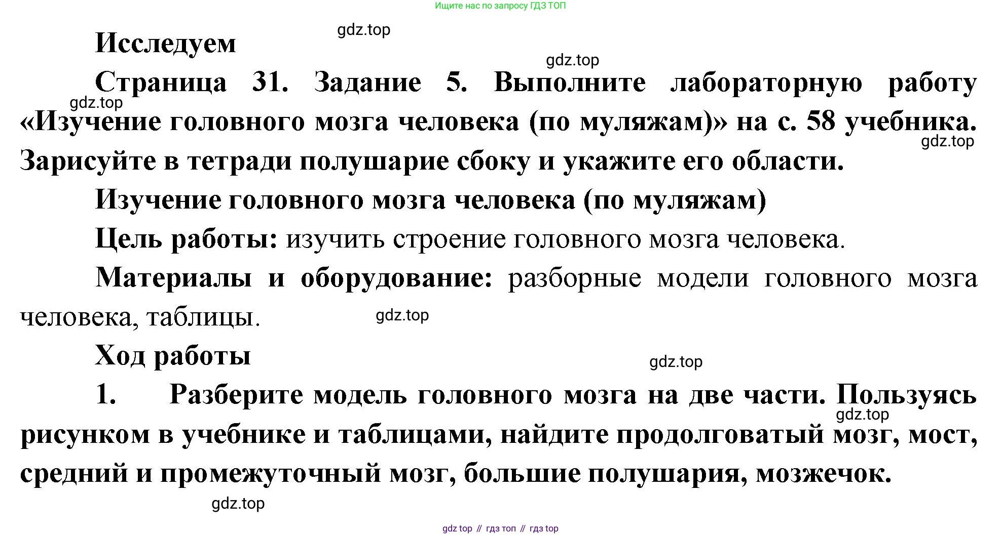 Биология, 9 класс рабочая тетрадь, авторы: Пасечник Владимир Васильевич, Швецов Глеб Геннадьевич, издательство Просвещение, Москва, 2023, розового цвета, страница 31, номер 5, Решение