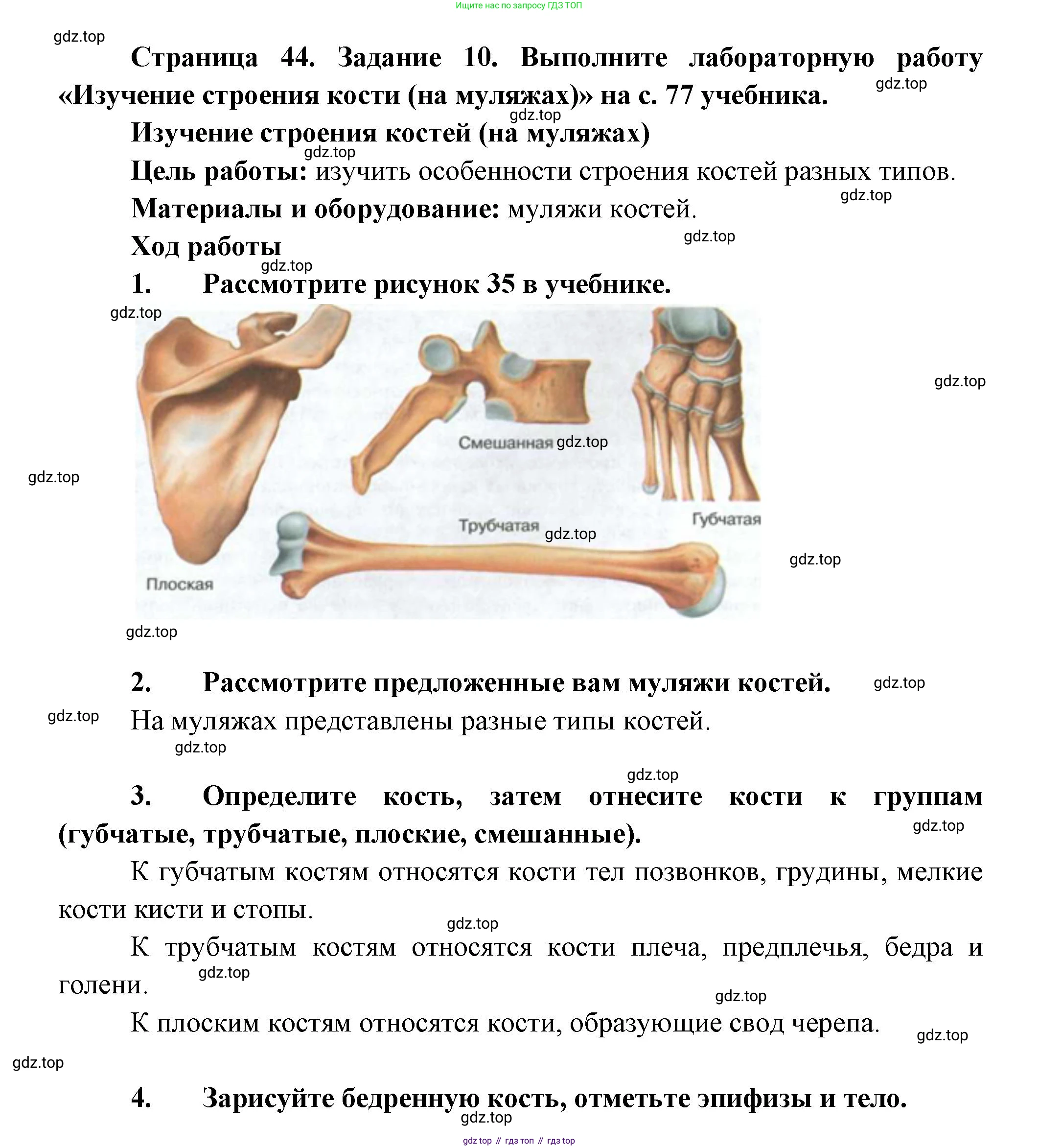 Биология, 9 класс рабочая тетрадь, авторы: Пасечник Владимир Васильевич, Швецов Глеб Геннадьевич, издательство Просвещение, Москва, 2023, розового цвета, страница 44, номер 10, Решение