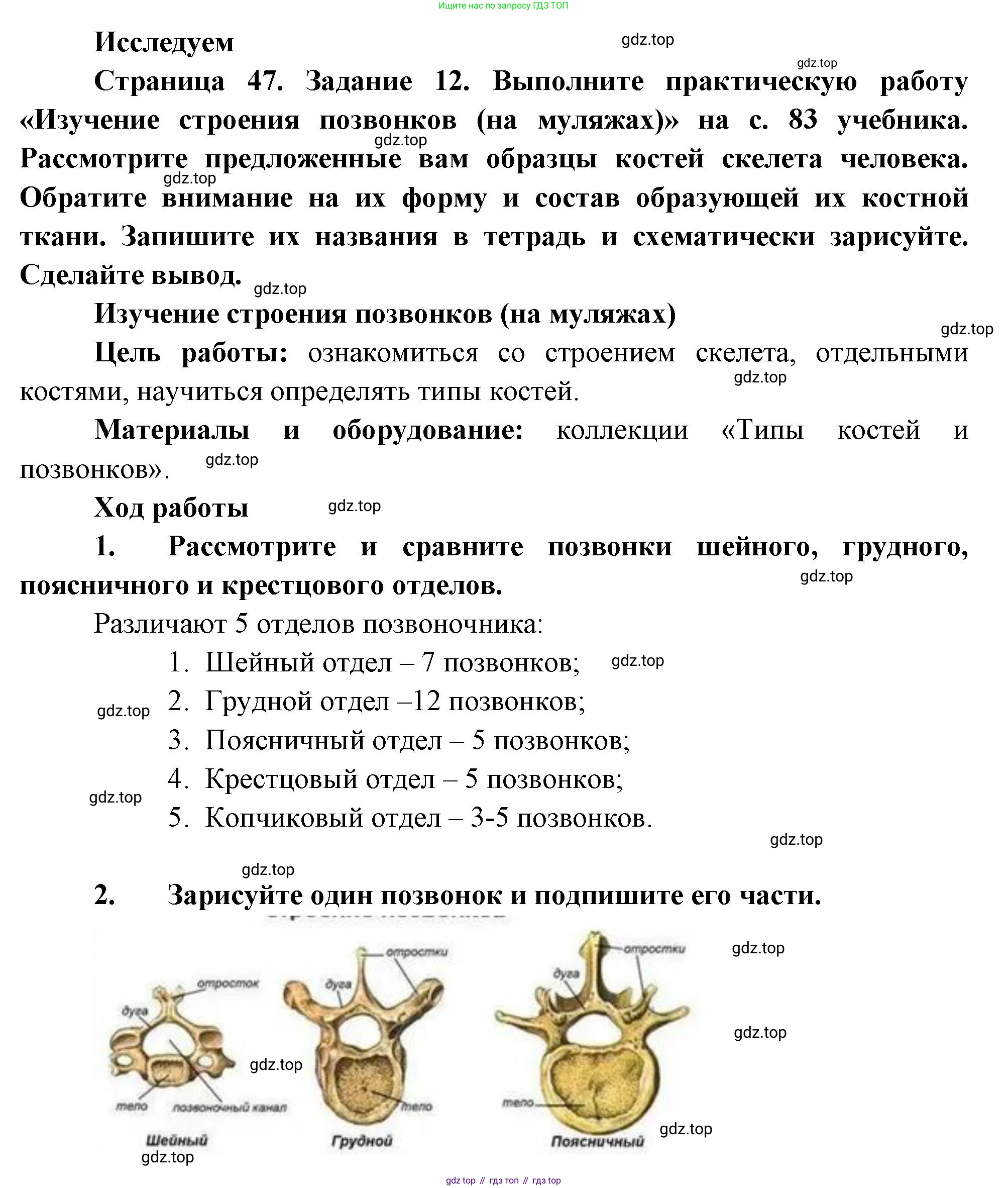 Биология, 9 класс рабочая тетрадь, авторы: Пасечник Владимир Васильевич, Швецов Глеб Геннадьевич, издательство Просвещение, Москва, 2023, розового цвета, страница 47, номер 12, Решение