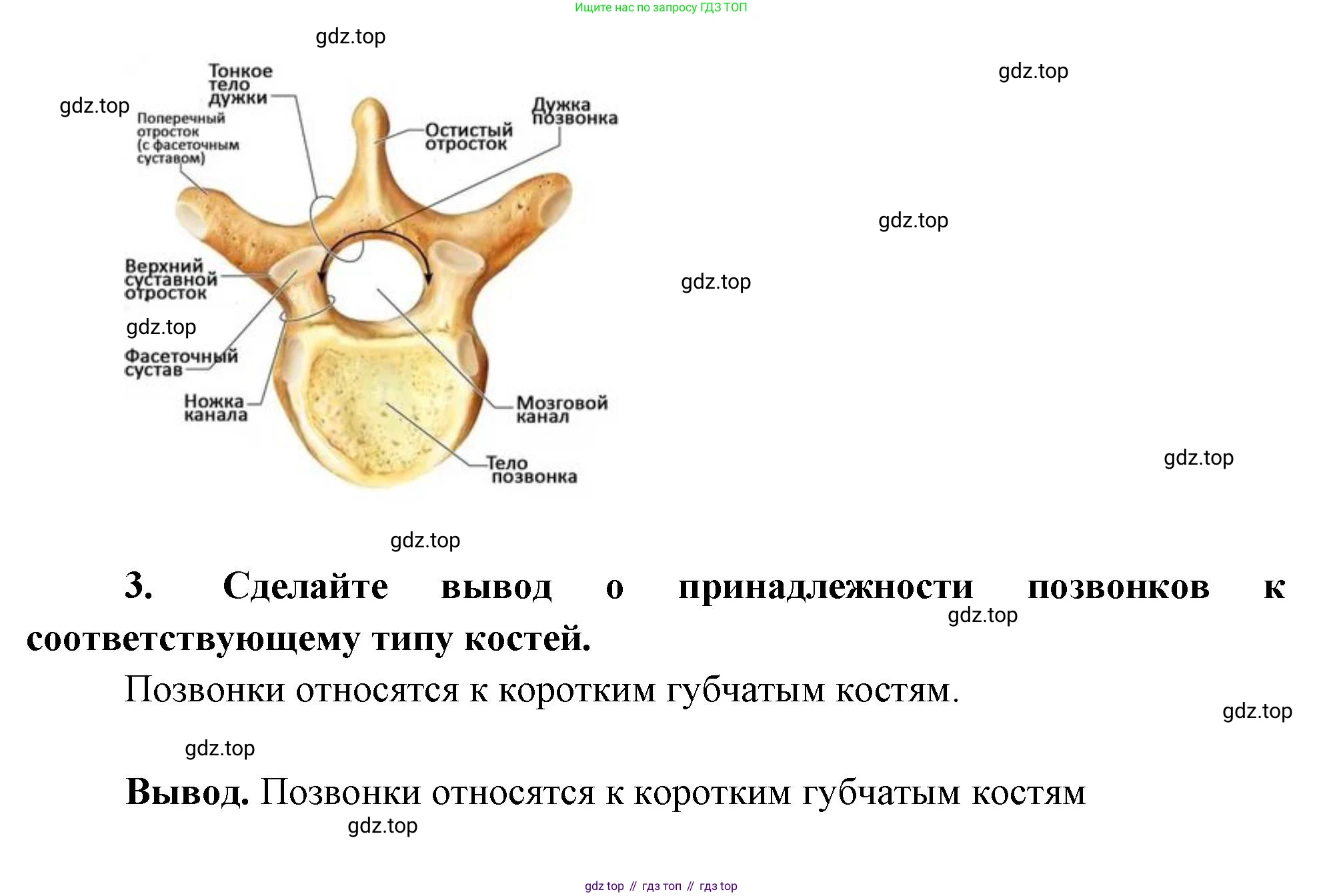 Биология, 9 класс рабочая тетрадь, авторы: Пасечник Владимир Васильевич, Швецов Глеб Геннадьевич, издательство Просвещение, Москва, 2023, розового цвета, страница 47, номер 12, Решение (продолжение 2)