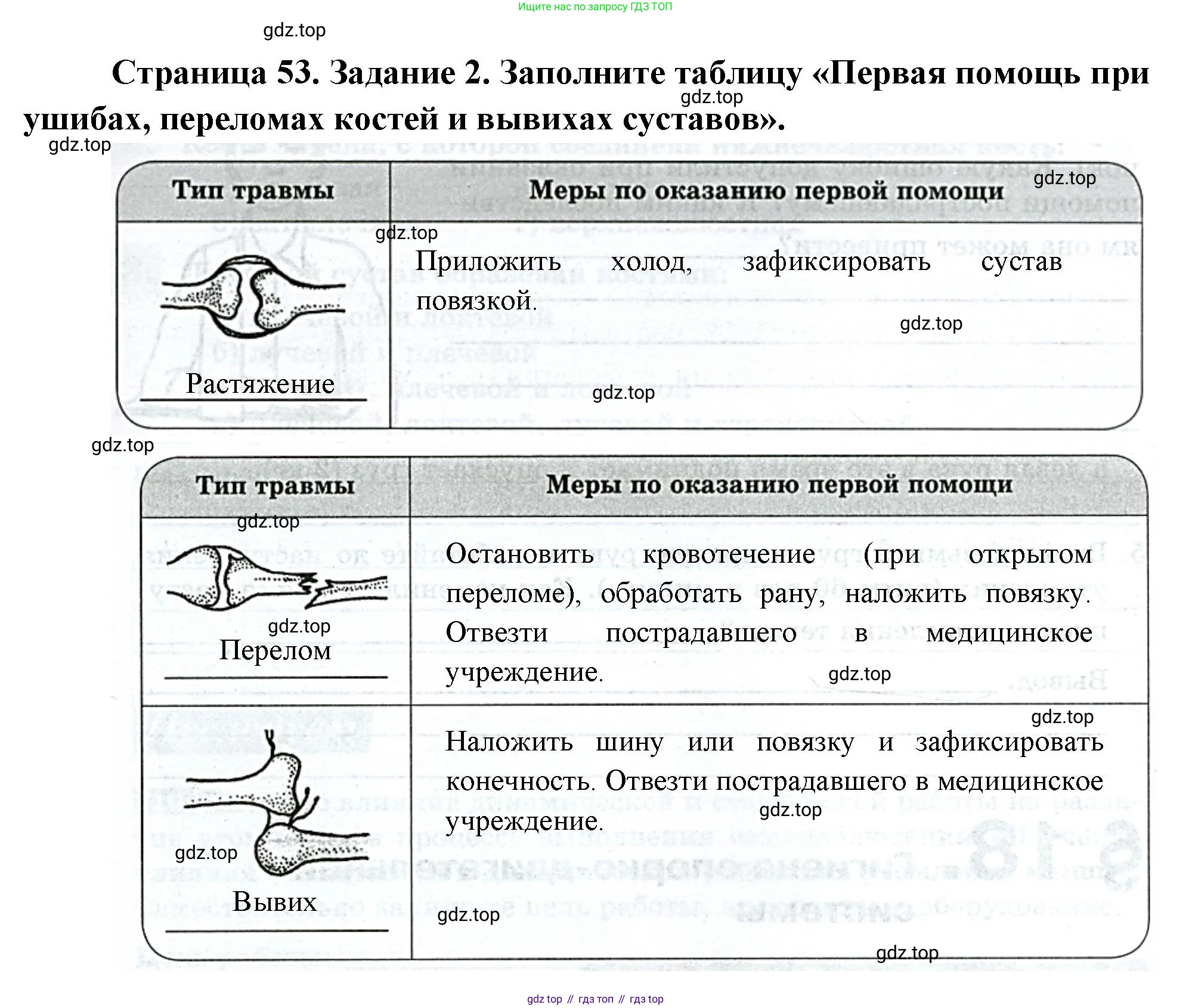 Биология, 9 класс рабочая тетрадь, авторы: Пасечник Владимир Васильевич, Швецов Глеб Геннадьевич, издательство Просвещение, Москва, 2023, розового цвета, страница 53, номер 2, Решение