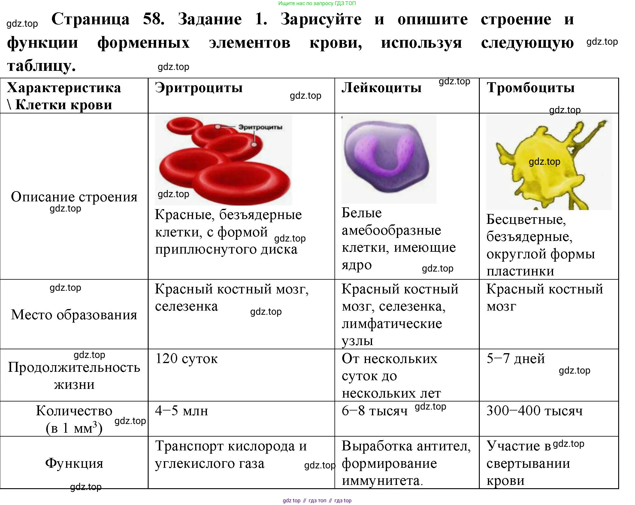 Биология, 9 класс рабочая тетрадь, авторы: Пасечник Владимир Васильевич, Швецов Глеб Геннадьевич, издательство Просвещение, Москва, 2023, розового цвета, страница 58, номер 1, Решение