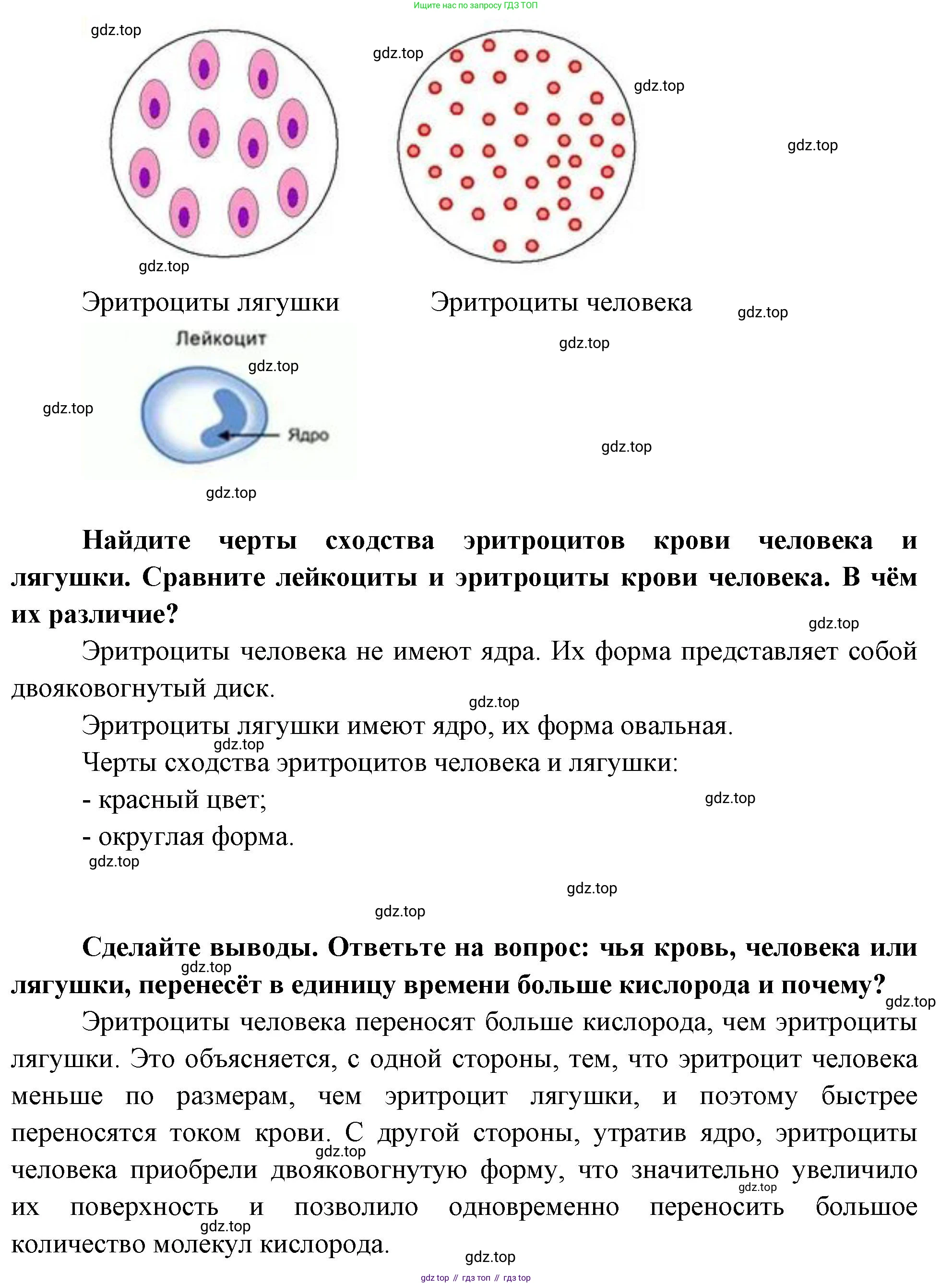 Биология, 9 класс рабочая тетрадь, авторы: Пасечник Владимир Васильевич, Швецов Глеб Геннадьевич, издательство Просвещение, Москва, 2023, розового цвета, страница 59, номер 6, Решение (продолжение 2)