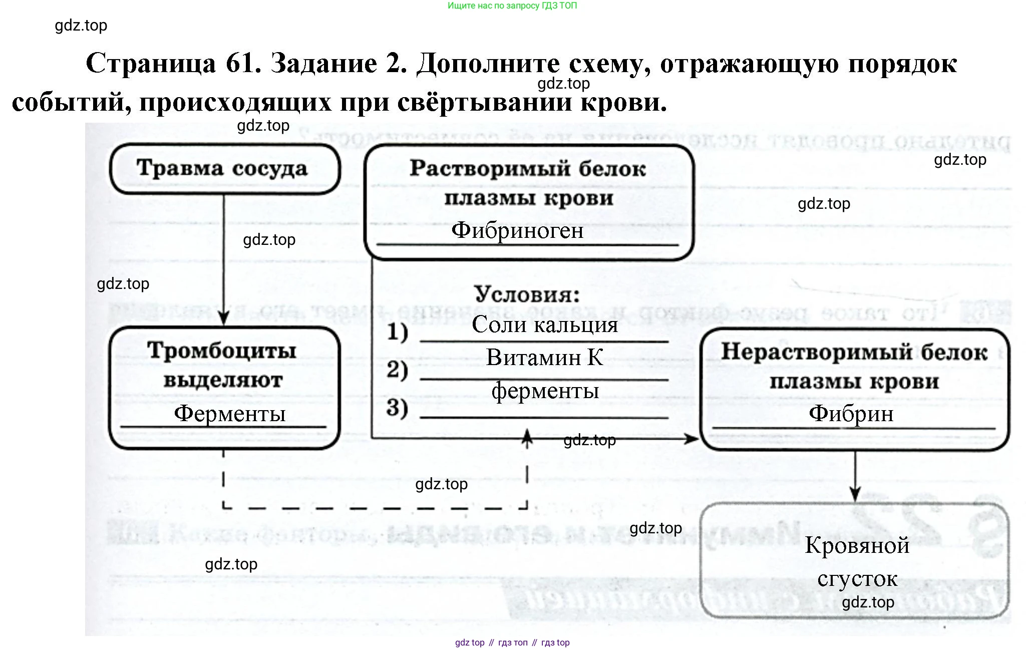 Биология, 9 класс рабочая тетрадь, авторы: Пасечник Владимир Васильевич, Швецов Глеб Геннадьевич, издательство Просвещение, Москва, 2023, розового цвета, страница 61, номер 2, Решение
