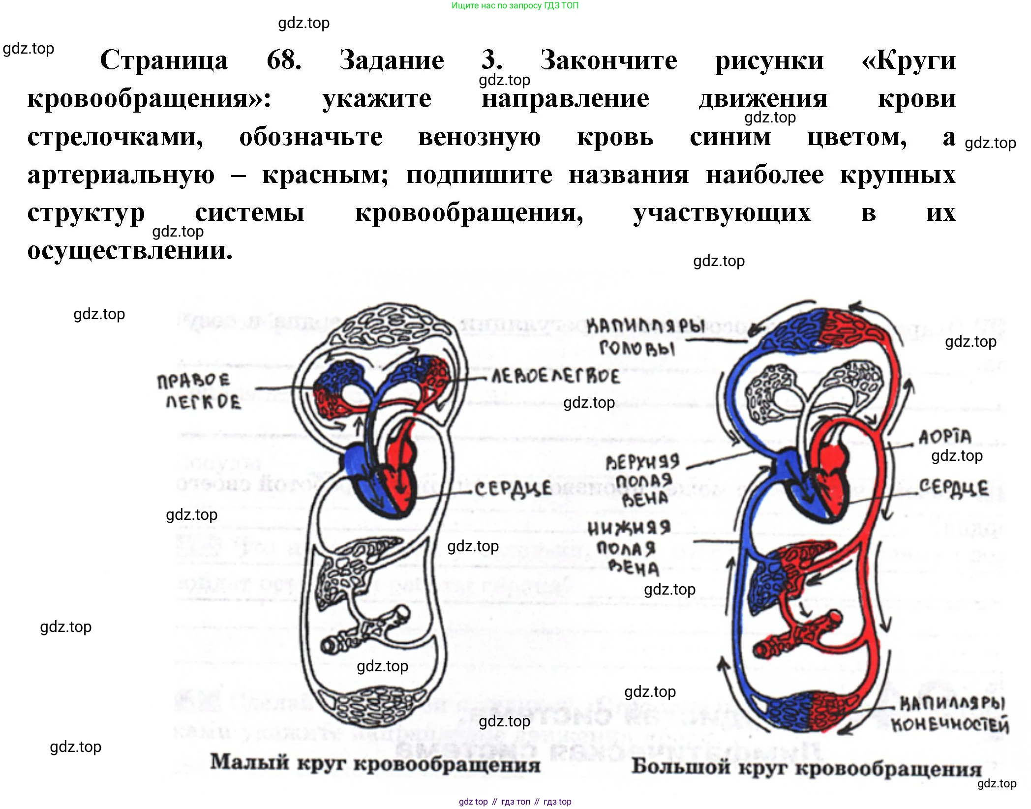 Биология, 9 класс рабочая тетрадь, авторы: Пасечник Владимир Васильевич, Швецов Глеб Геннадьевич, издательство Просвещение, Москва, 2023, розового цвета, страница 68, номер 3, Решение