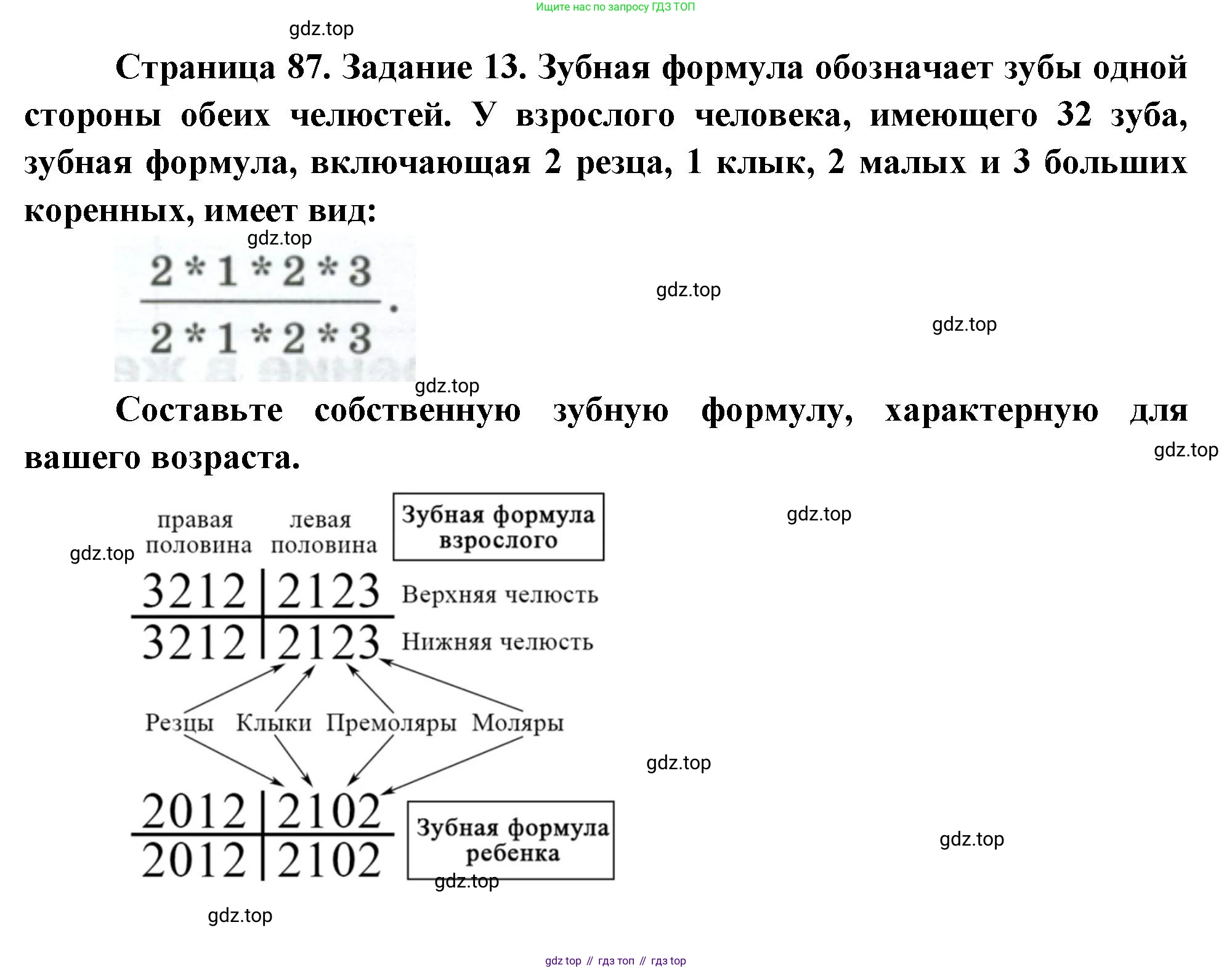 Биология, 9 класс рабочая тетрадь, авторы: Пасечник Владимир Васильевич, Швецов Глеб Геннадьевич, издательство Просвещение, Москва, 2023, розового цвета, страница 87, номер 13, Решение