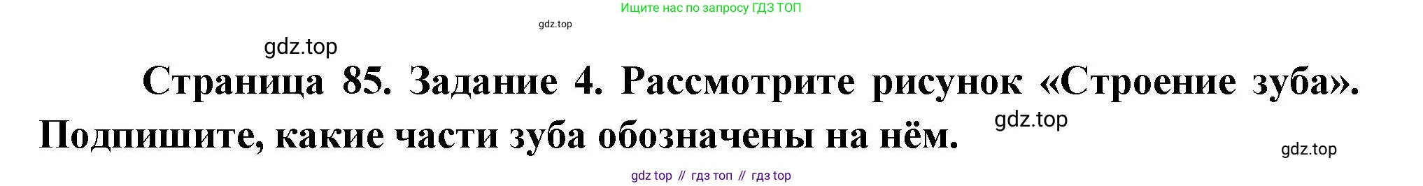 Биология, 9 класс рабочая тетрадь, авторы: Пасечник Владимир Васильевич, Швецов Глеб Геннадьевич, издательство Просвещение, Москва, 2023, розового цвета, страница 85, номер 4, Решение