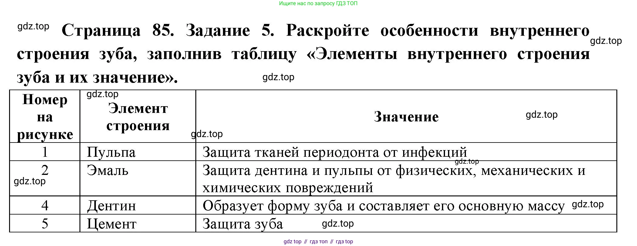 Биология, 9 класс рабочая тетрадь, авторы: Пасечник Владимир Васильевич, Швецов Глеб Геннадьевич, издательство Просвещение, Москва, 2023, розового цвета, страница 85, номер 5, Решение