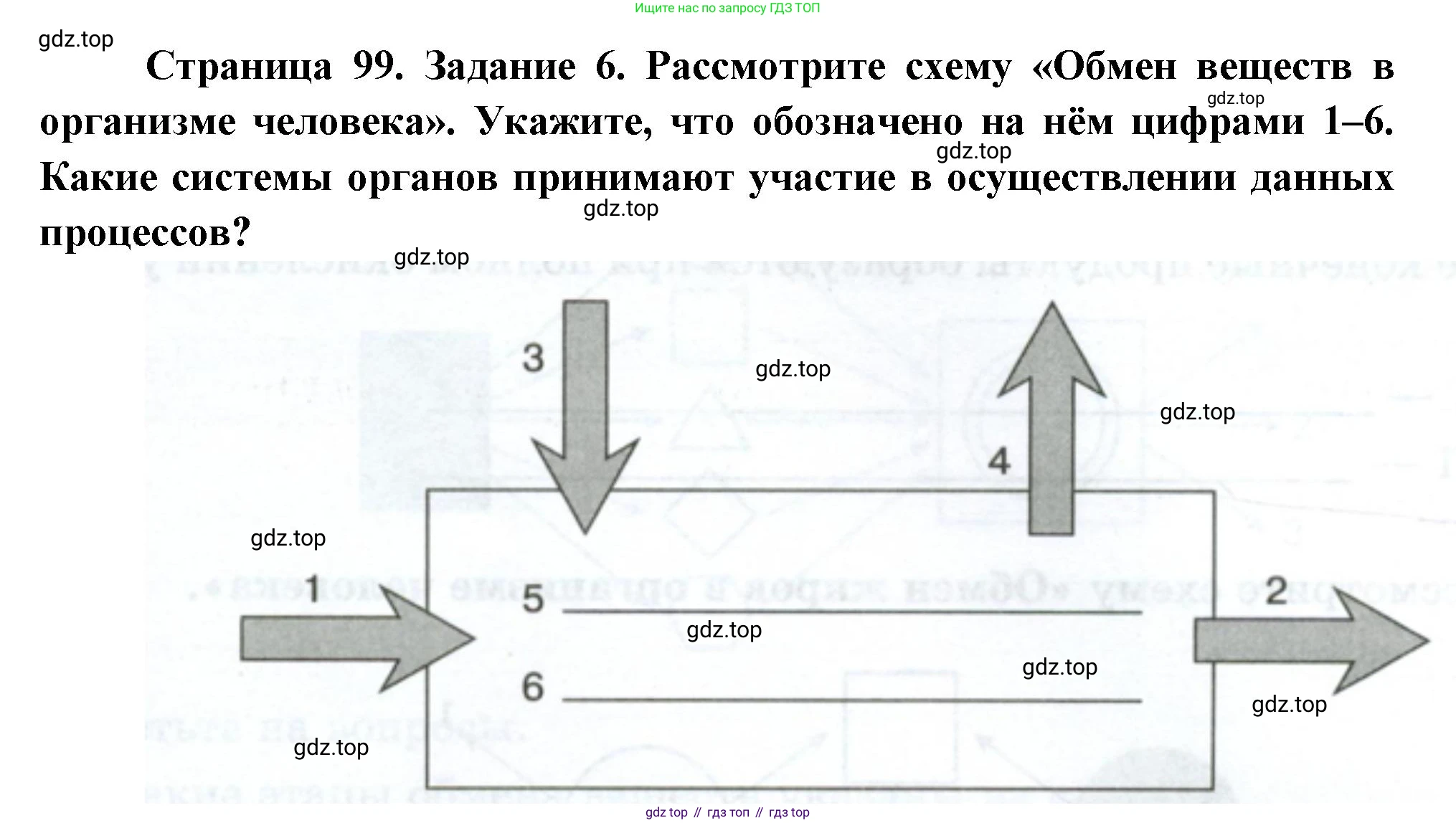 Биология, 9 класс рабочая тетрадь, авторы: Пасечник Владимир Васильевич, Швецов Глеб Геннадьевич, издательство Просвещение, Москва, 2023, розового цвета, страница 99, номер 6, Решение