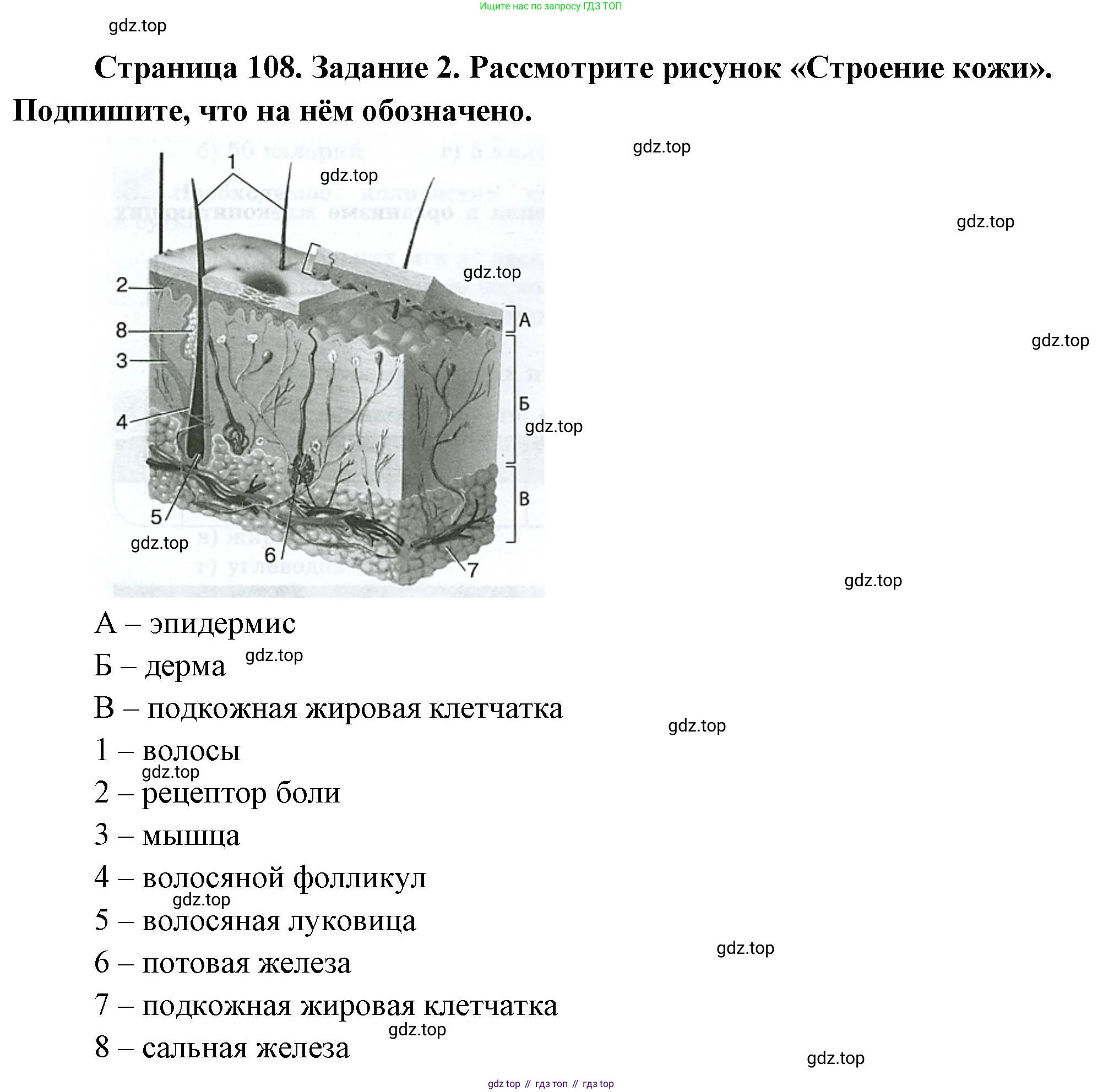 Биология, 9 класс рабочая тетрадь, авторы: Пасечник Владимир Васильевич, Швецов Глеб Геннадьевич, издательство Просвещение, Москва, 2023, розового цвета, страница 108, номер 2, Решение