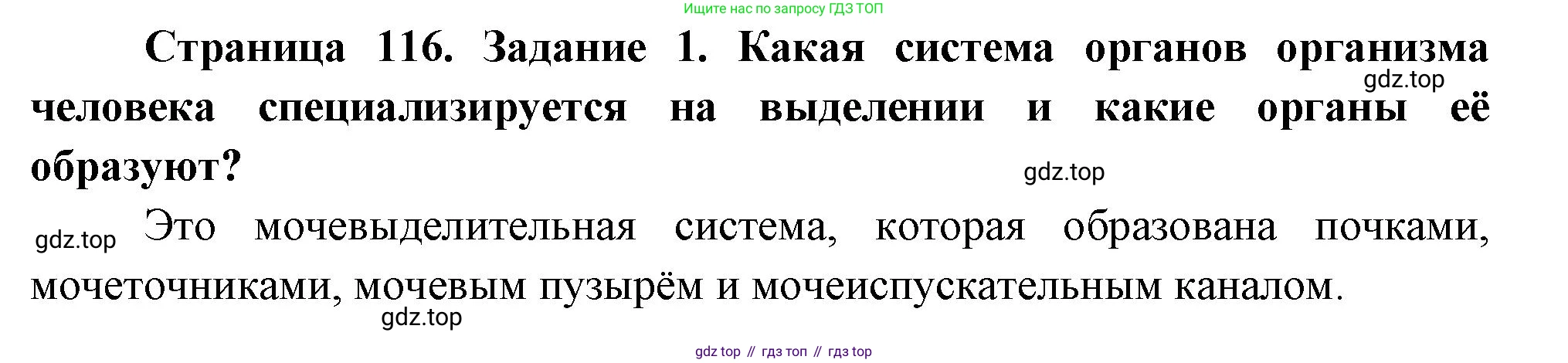 Биология, 9 класс рабочая тетрадь, авторы: Пасечник Владимир Васильевич, Швецов Глеб Геннадьевич, издательство Просвещение, Москва, 2023, розового цвета, страница 116, номер 1, Решение