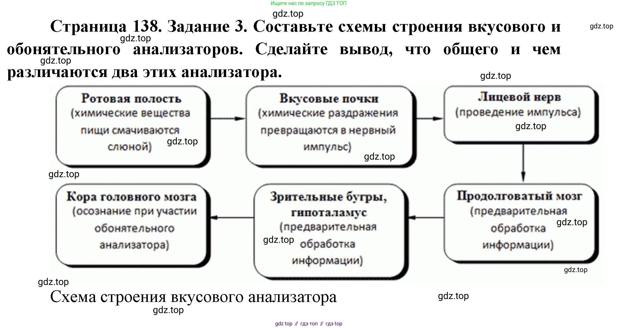 Биология, 9 класс рабочая тетрадь, авторы: Пасечник Владимир Васильевич, Швецов Глеб Геннадьевич, издательство Просвещение, Москва, 2023, розового цвета, страница 138, номер 3, Решение