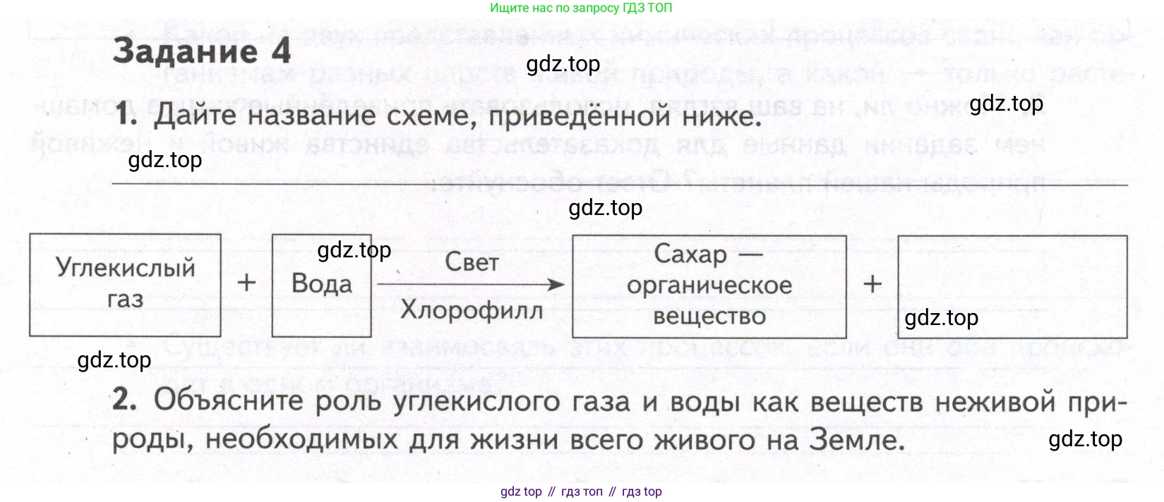 ГДЗ Биология, 9 класс рабочая тетрадь, автор: Сухова Тамара Сергеевна, издательство Просвещение, Москва, 2021, Часть 1, страница 29, номер 4, Условие