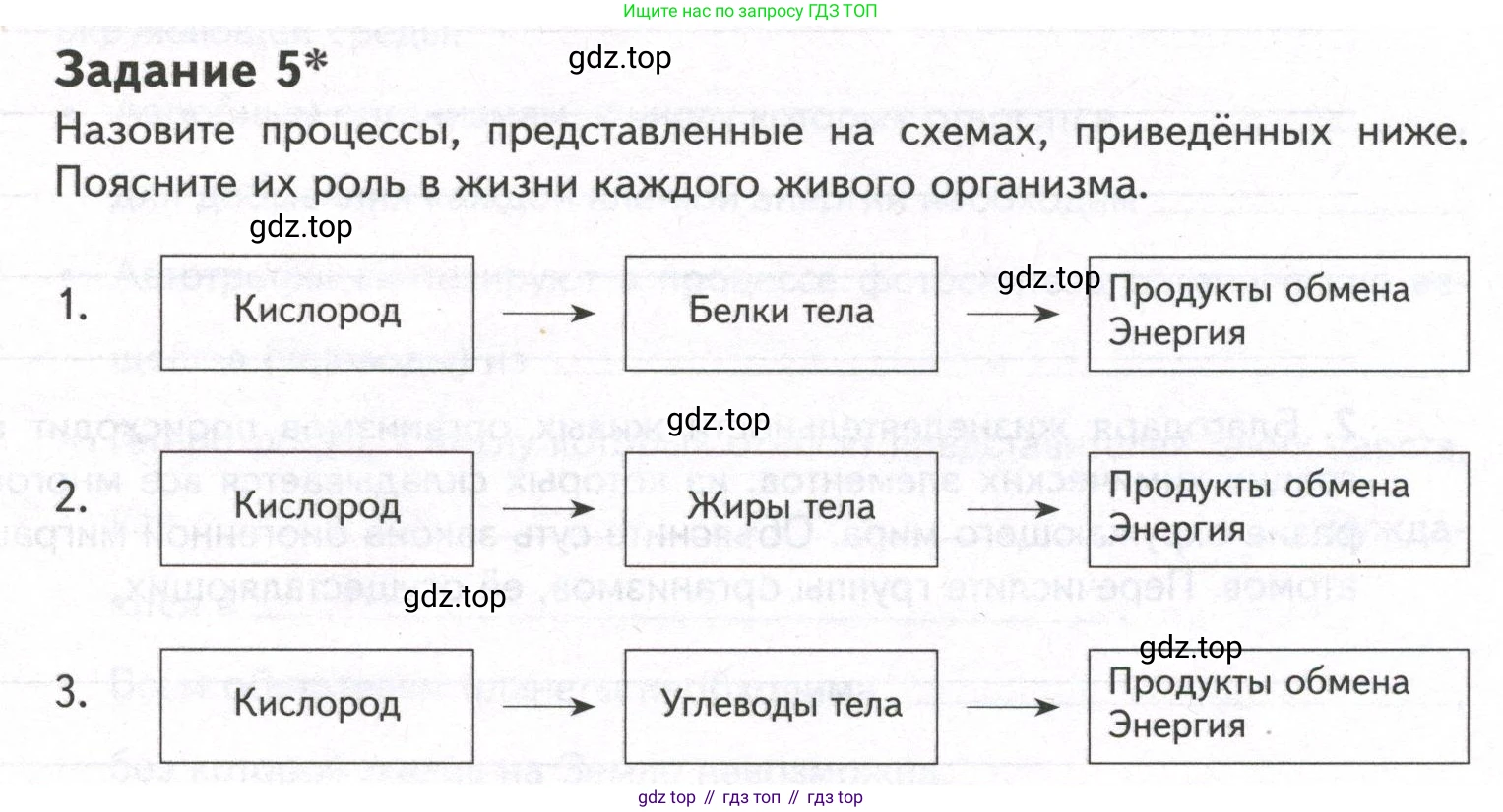 ГДЗ Биология, 9 класс рабочая тетрадь, автор: Сухова Тамара Сергеевна, издательство Просвещение, Москва, 2021, Часть 1, страница 47, номер 5, Условие