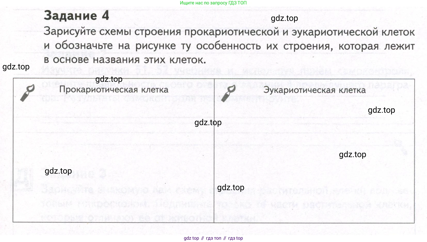ГДЗ Биология, 9 класс рабочая тетрадь, автор: Сухова Тамара Сергеевна, издательство Просвещение, Москва, 2021, Часть 1, страница 53, номер 4, Условие