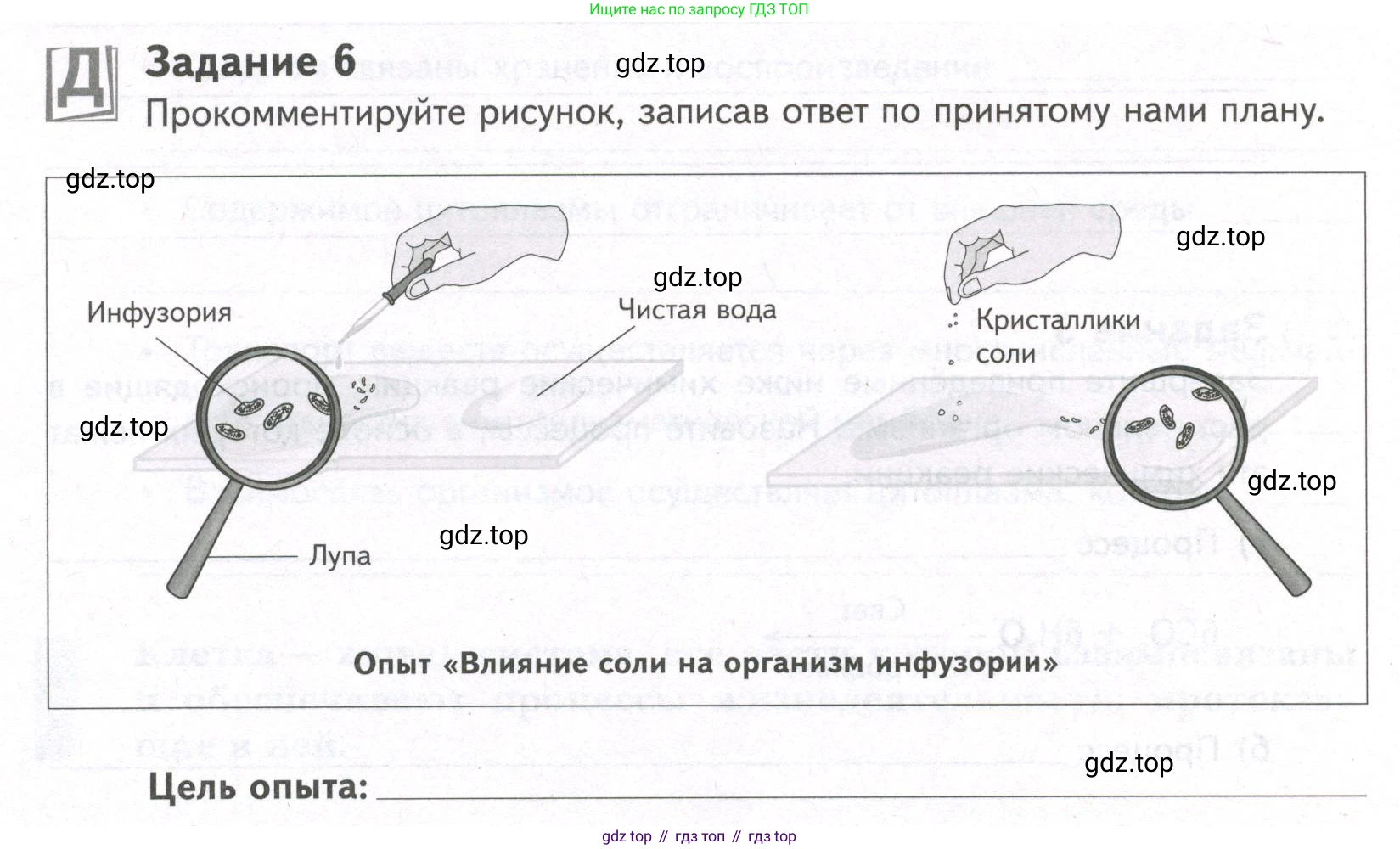 ГДЗ Биология, 9 класс рабочая тетрадь, автор: Сухова Тамара Сергеевна, издательство Просвещение, Москва, 2021, Часть 1, страница 58, номер 6, Условие