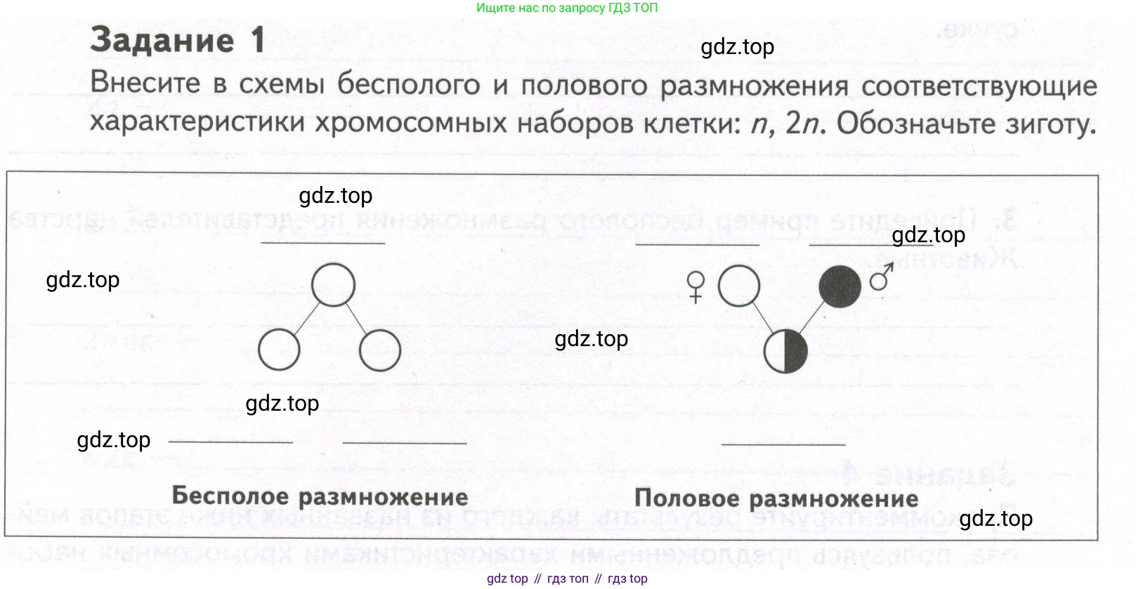 ГДЗ Биология, 9 класс рабочая тетрадь, автор: Сухова Тамара Сергеевна, издательство Просвещение, Москва, 2021, Часть 1, страница 63, номер 1, Условие