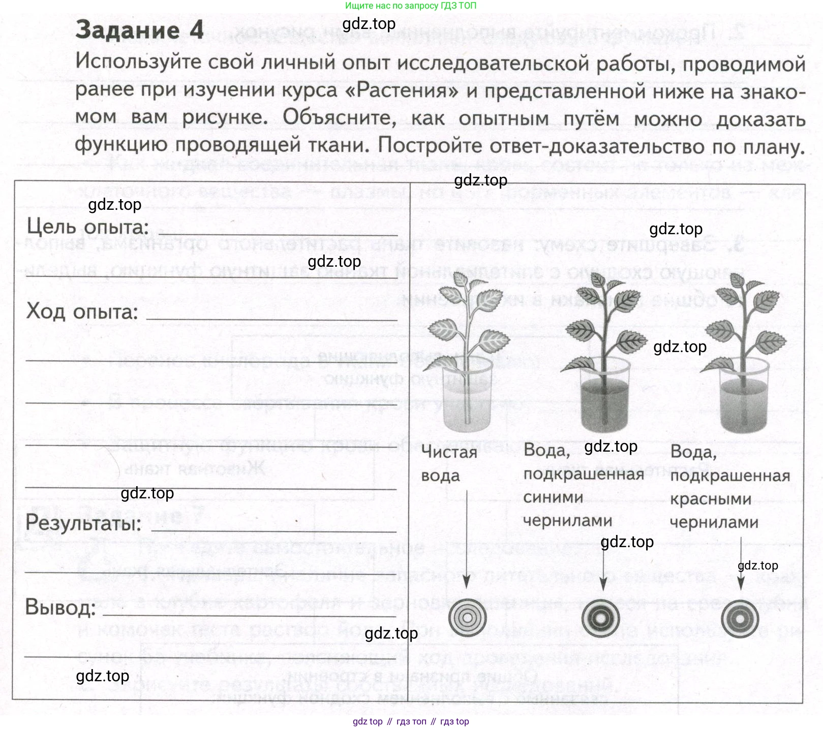 ГДЗ Биология, 9 класс рабочая тетрадь, автор: Сухова Тамара Сергеевна, издательство Просвещение, Москва, 2021, Часть 1, страница 73, номер 4, Условие