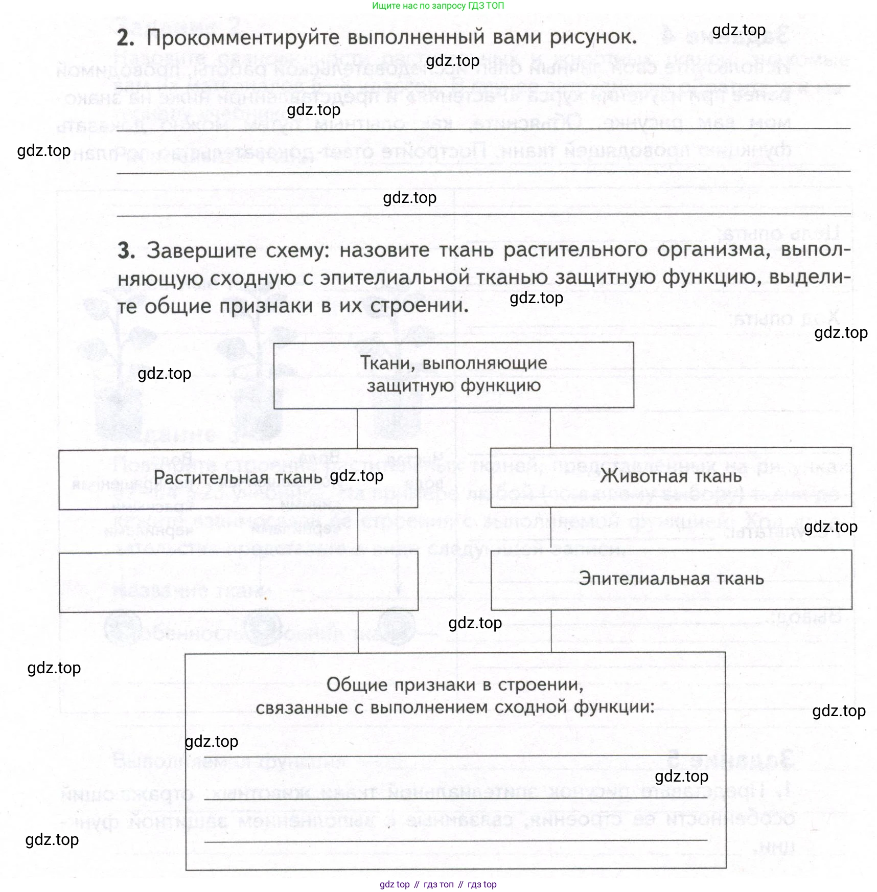 ГДЗ Биология, 9 класс рабочая тетрадь, автор: Сухова Тамара Сергеевна, издательство Просвещение, Москва, 2021, Часть 1, страница 73, номер 5, Условие (продолжение 2)