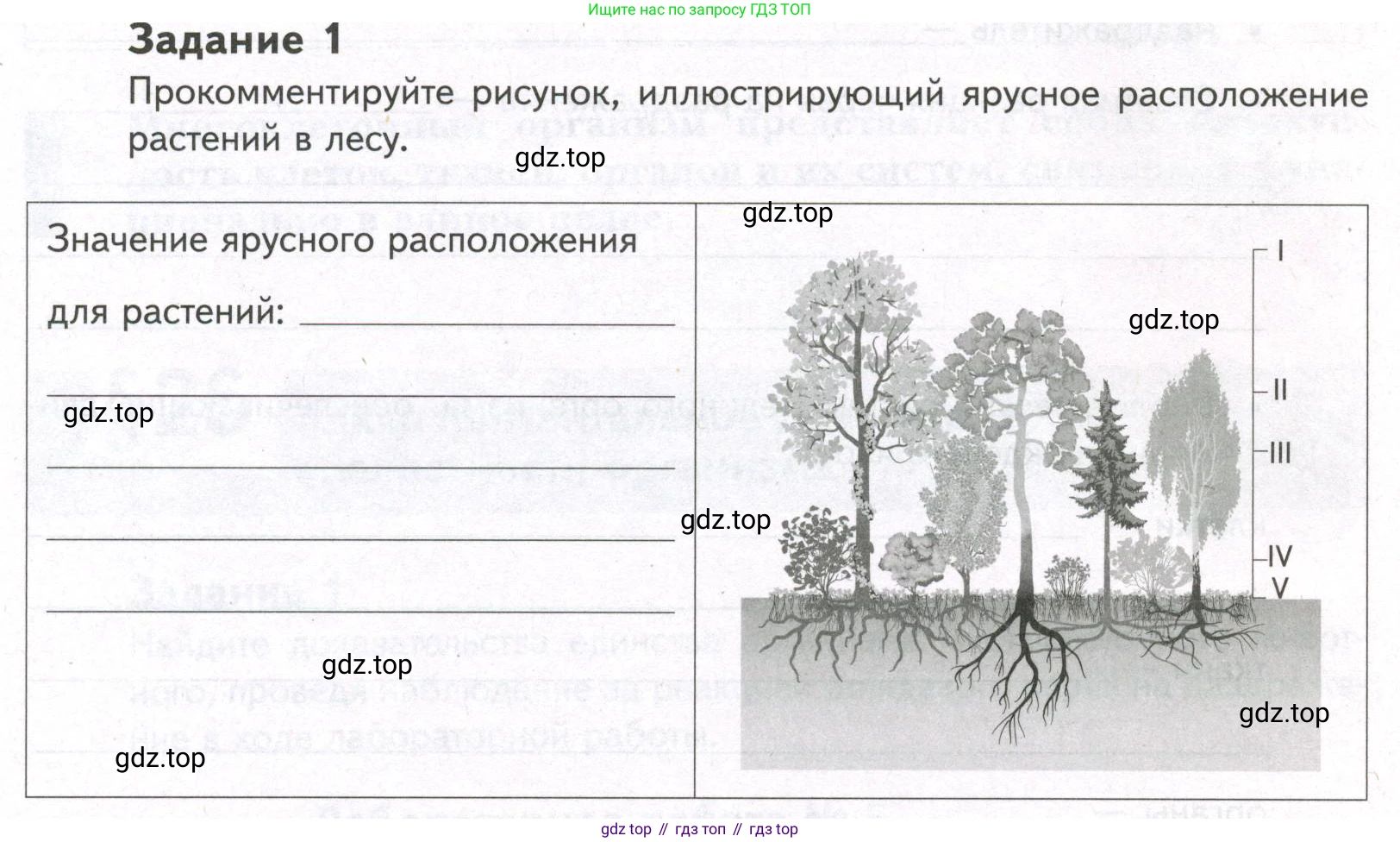 ГДЗ Биология, 9 класс рабочая тетрадь, автор: Сухова Тамара Сергеевна, издательство Просвещение, Москва, 2021, Часть 1, страница 84, номер 1, Условие
