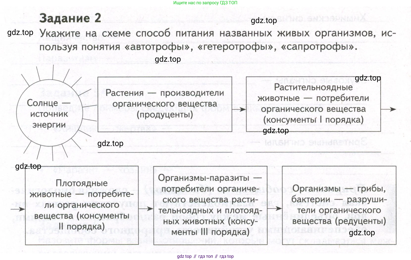 ГДЗ Биология, 9 класс рабочая тетрадь, автор: Сухова Тамара Сергеевна, издательство Просвещение, Москва, 2021, Часть 1, страница 88, номер 2, Условие