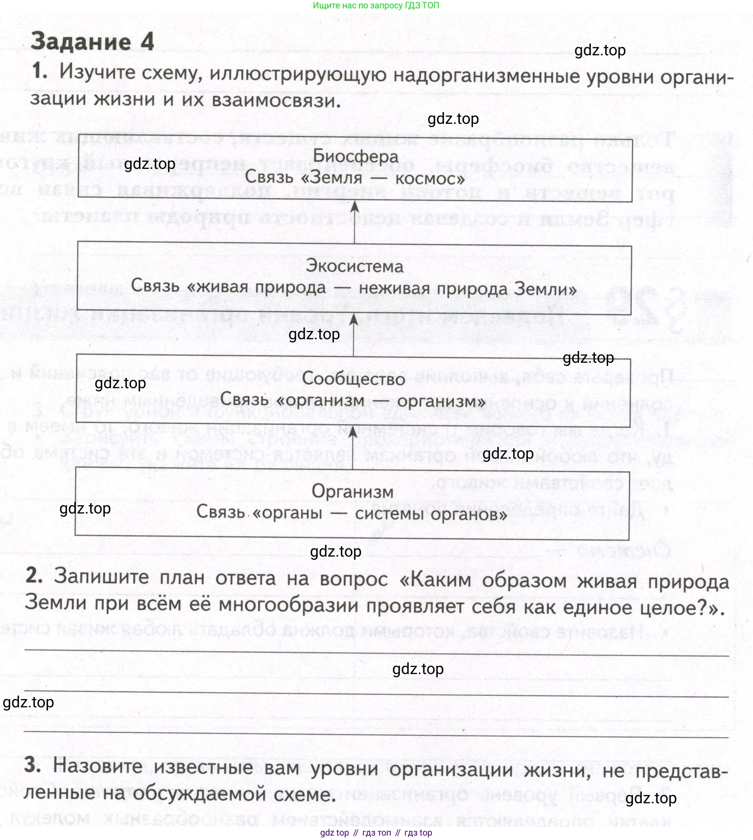 ГДЗ Биология, 9 класс рабочая тетрадь, автор: Сухова Тамара Сергеевна, издательство Просвещение, Москва, 2021, Часть 1, страница 89, номер 4, Условие