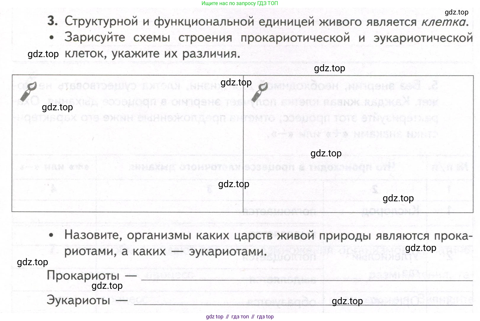 ГДЗ Биология, 9 класс рабочая тетрадь, автор: Сухова Тамара Сергеевна, издательство Просвещение, Москва, 2021, Часть 1, страница 91, номер 3, Условие