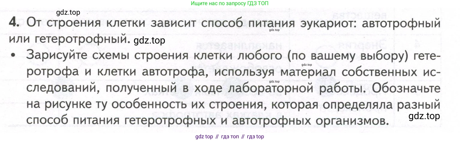 ГДЗ Биология, 9 класс рабочая тетрадь, автор: Сухова Тамара Сергеевна, издательство Просвещение, Москва, 2021, Часть 1, страница 91, номер 4, Условие