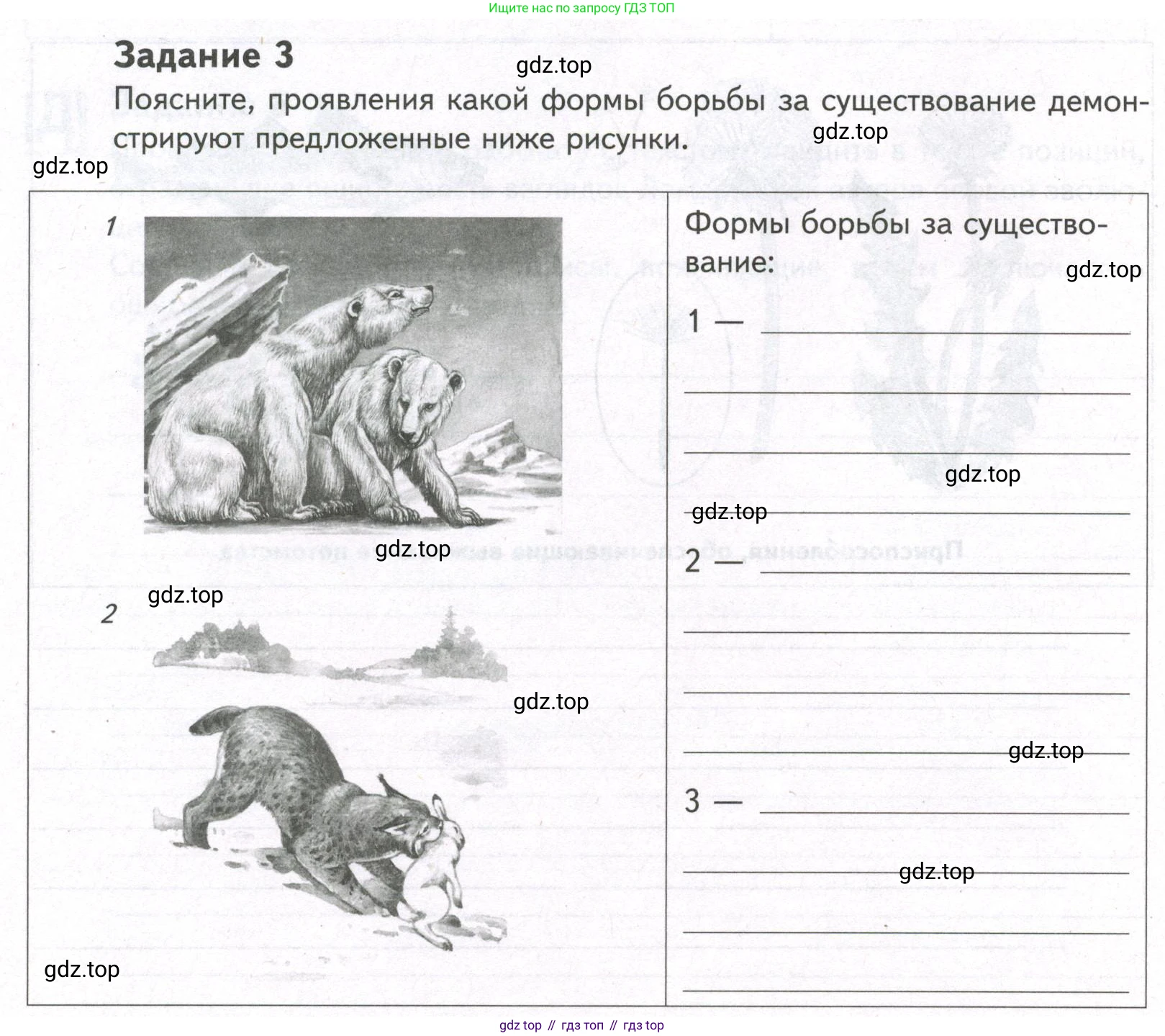 ГДЗ Биология, 9 класс рабочая тетрадь, автор: Сухова Тамара Сергеевна, издательство Просвещение, Москва, 2021, Часть 2, страница 8, номер 3, Условие