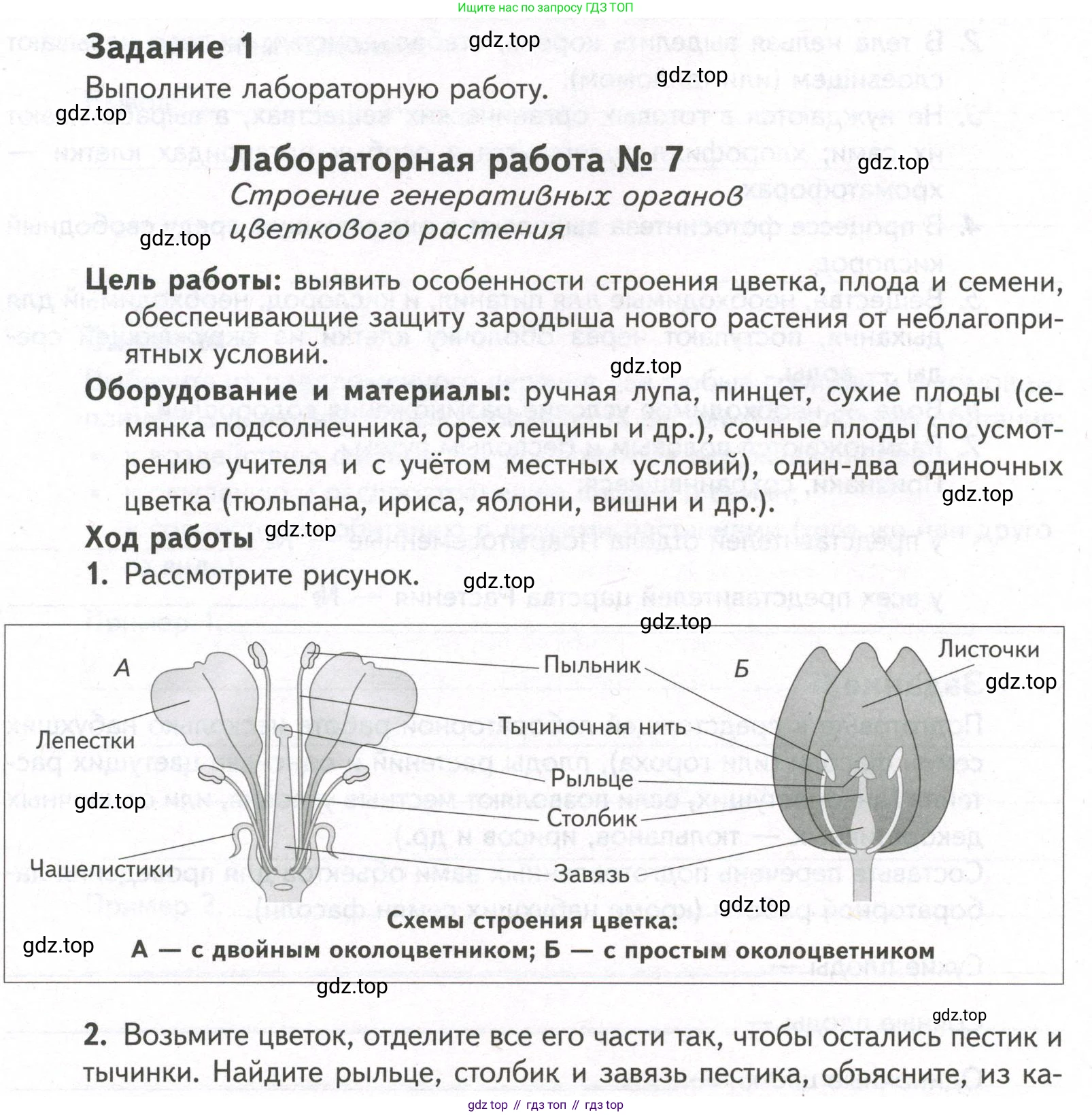 ГДЗ Биология, 9 класс рабочая тетрадь, автор: Сухова Тамара Сергеевна, издательство Просвещение, Москва, 2021, Часть 2, страница 22, номер 1, Условие