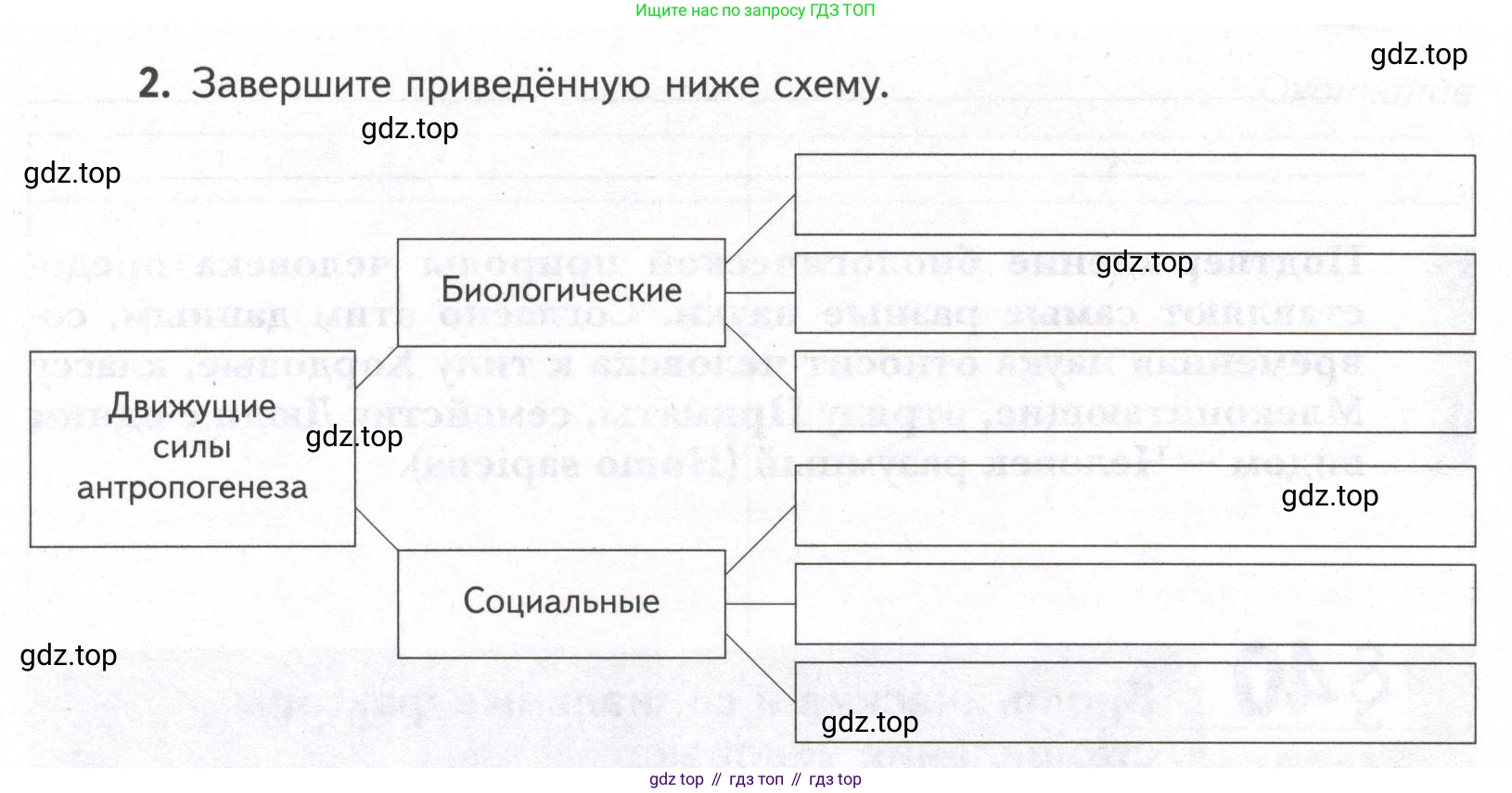 ГДЗ Биология, 9 класс рабочая тетрадь, автор: Сухова Тамара Сергеевна, издательство Просвещение, Москва, 2021, Часть 2, страница 33, номер 2, Условие (продолжение 2)