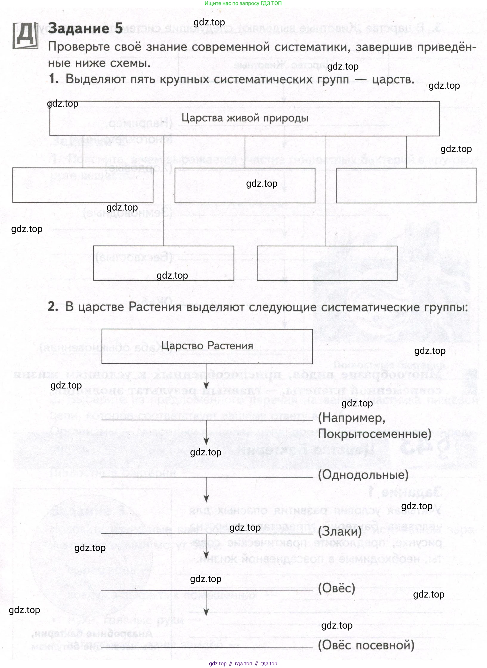 ГДЗ Биология, 9 класс рабочая тетрадь, автор: Сухова Тамара Сергеевна, издательство Просвещение, Москва, 2021, Часть 2, страница 45, номер 5, Условие