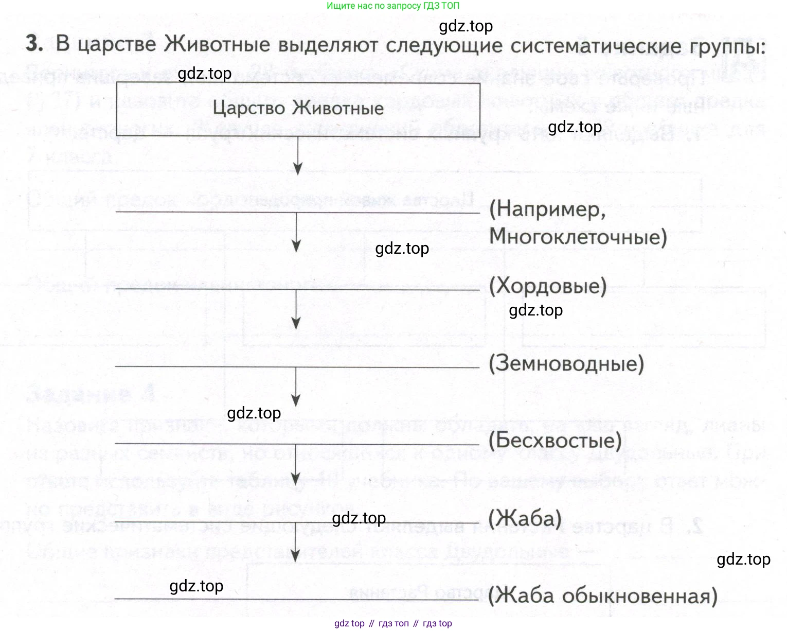 ГДЗ Биология, 9 класс рабочая тетрадь, автор: Сухова Тамара Сергеевна, издательство Просвещение, Москва, 2021, Часть 2, страница 45, номер 5, Условие (продолжение 2)