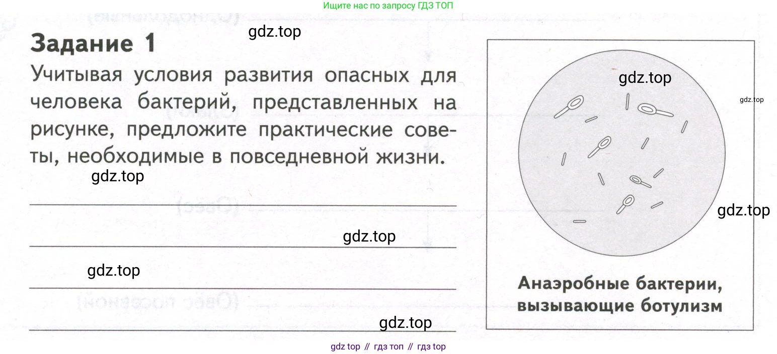 ГДЗ Биология, 9 класс рабочая тетрадь, автор: Сухова Тамара Сергеевна, издательство Просвещение, Москва, 2021, Часть 2, страница 46, номер 1, Условие